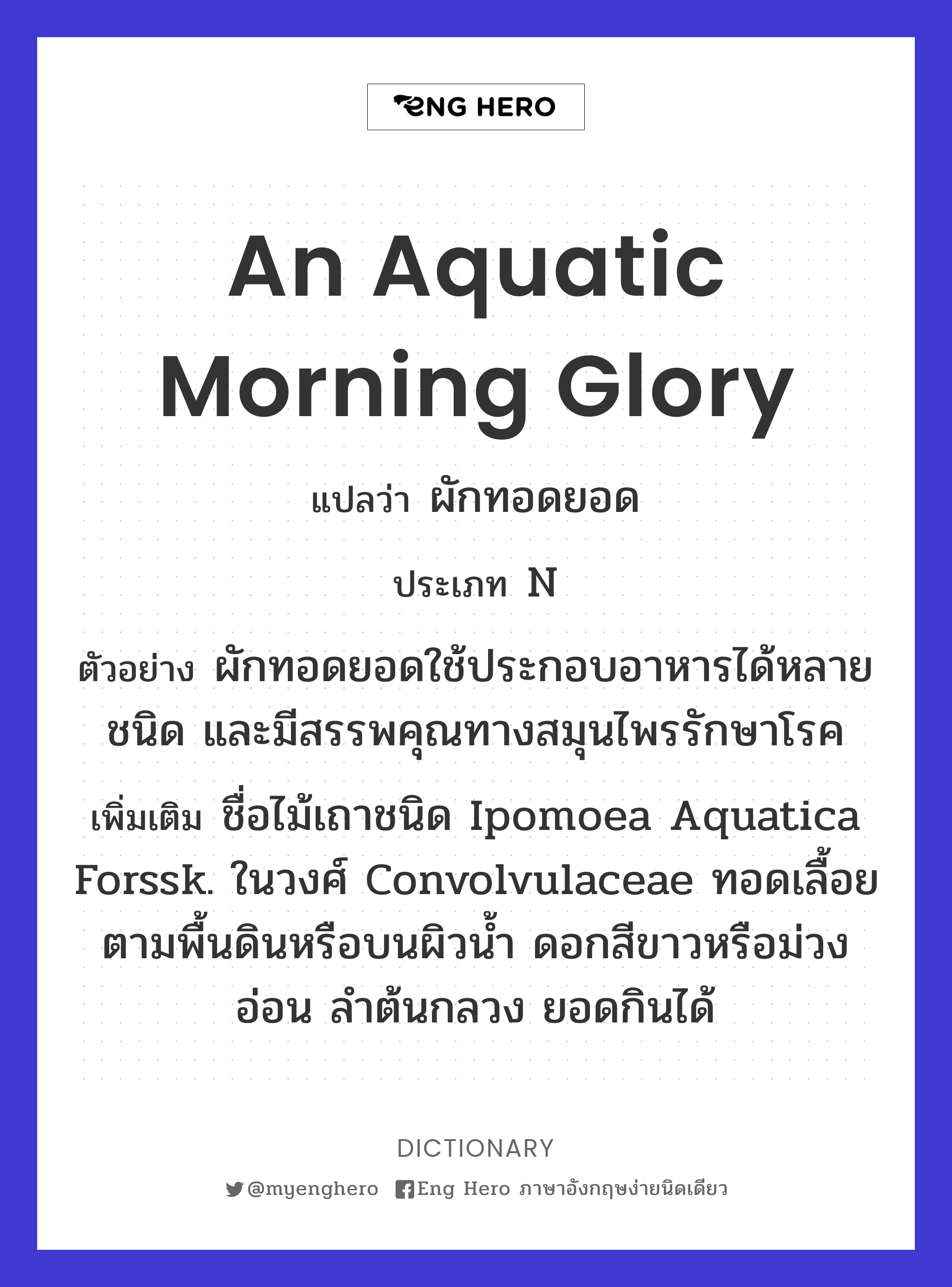 an aquatic morning glory