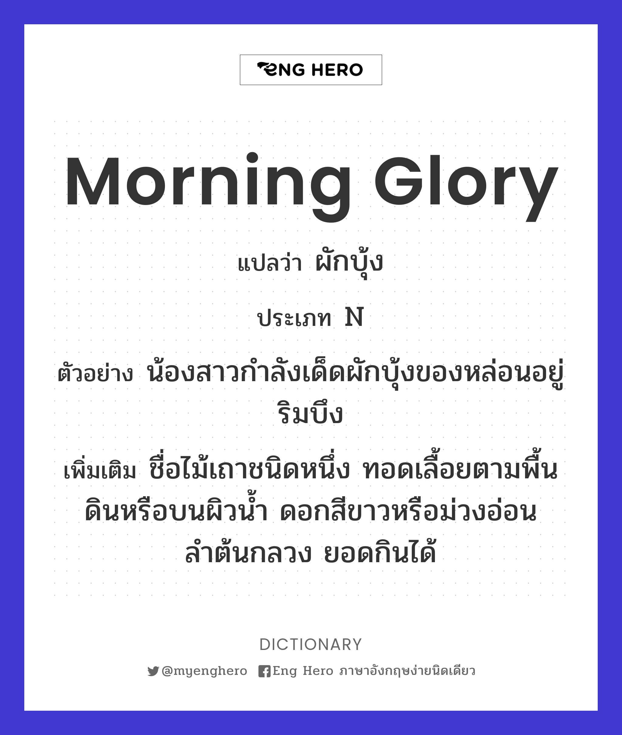 morning glory