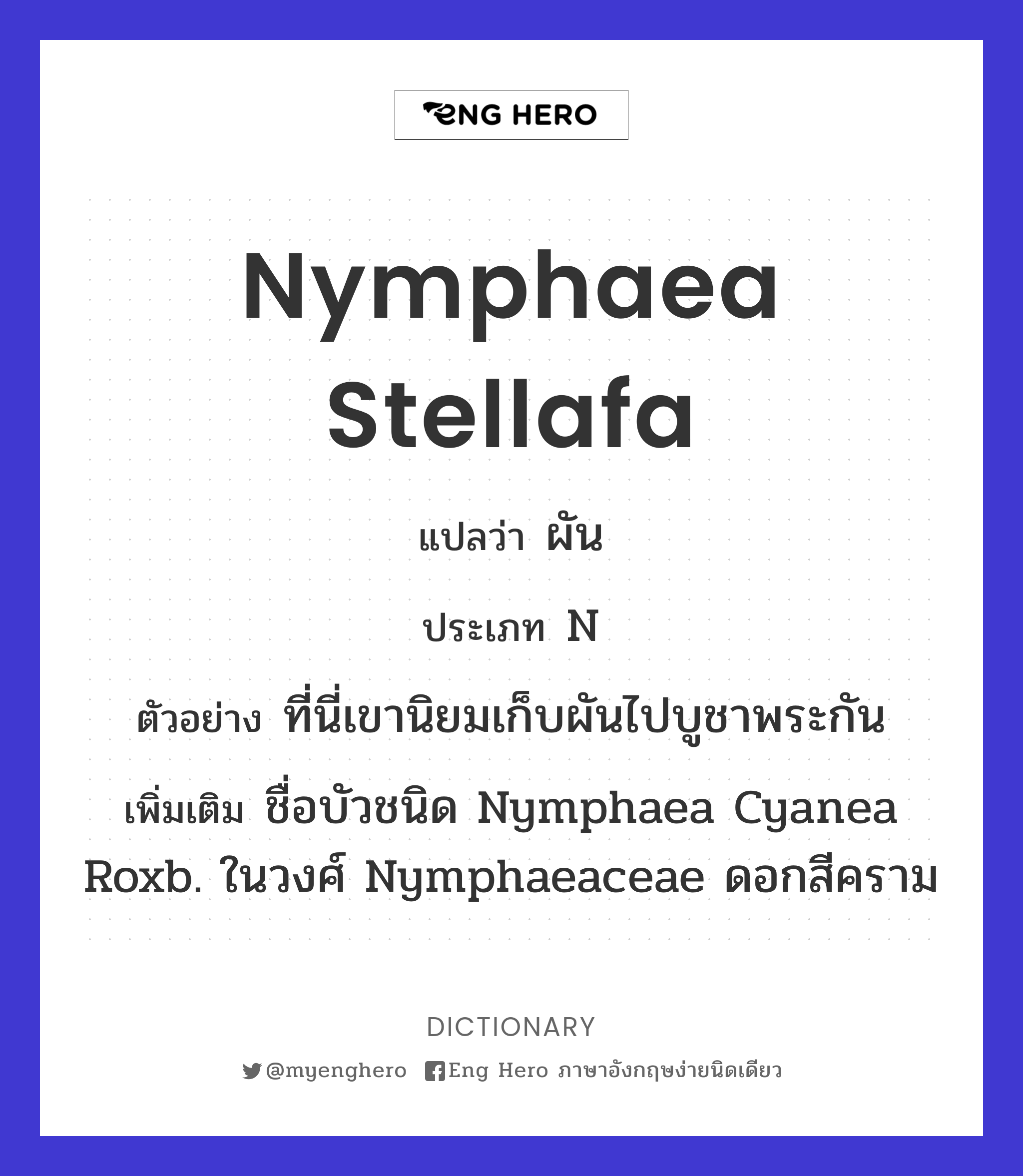 Nymphaea stellafa