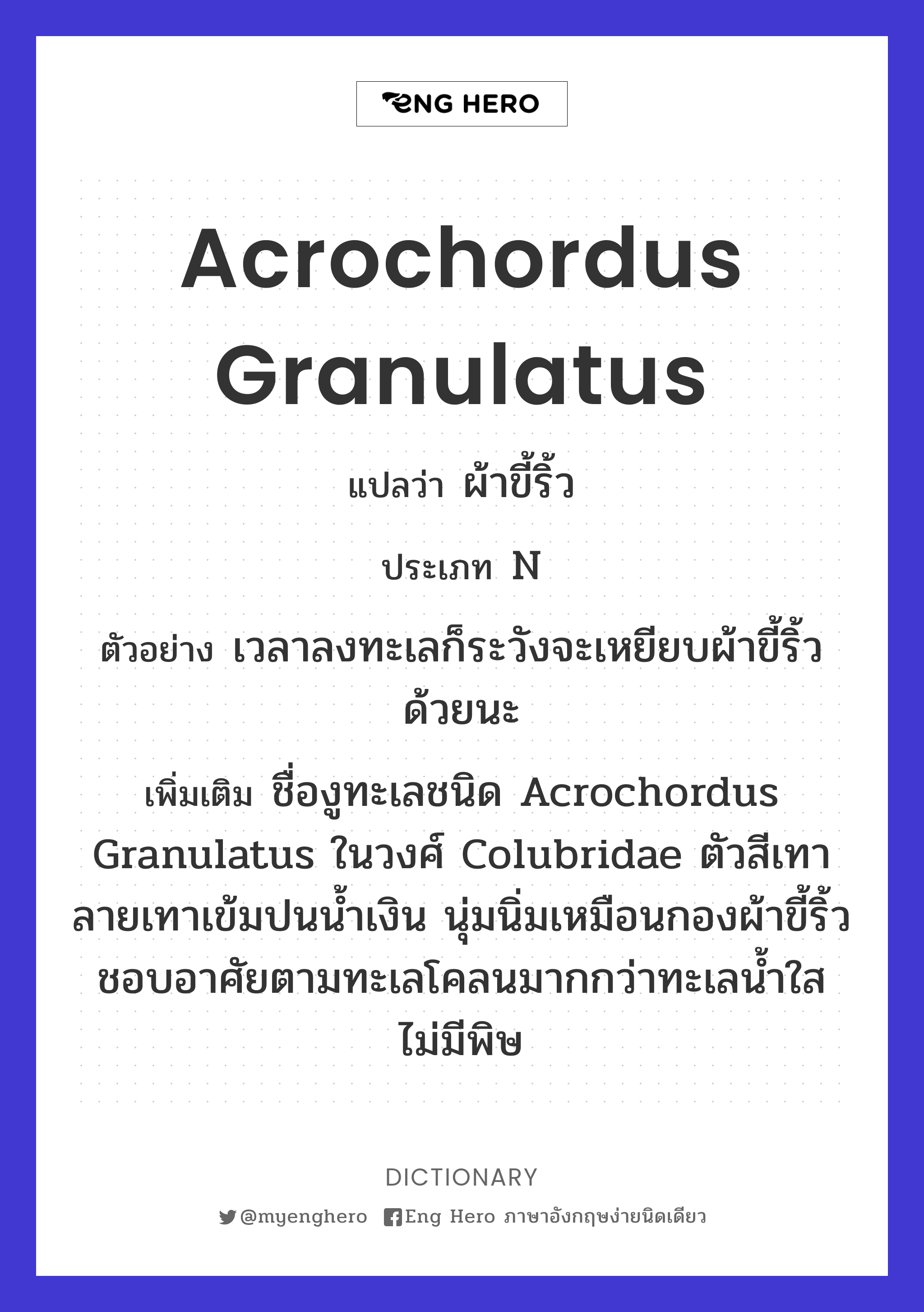 Acrochordus granulatus