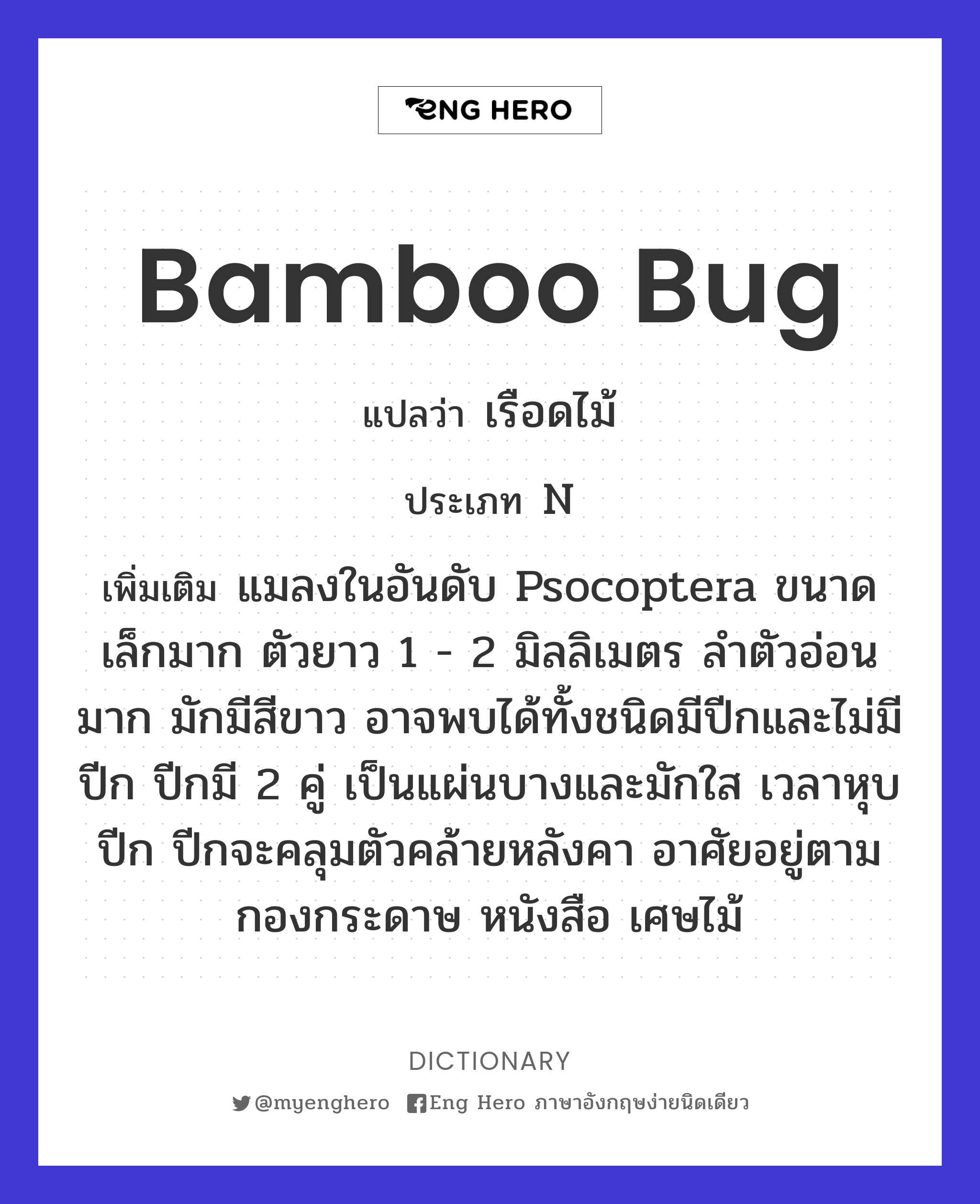 bamboo bug