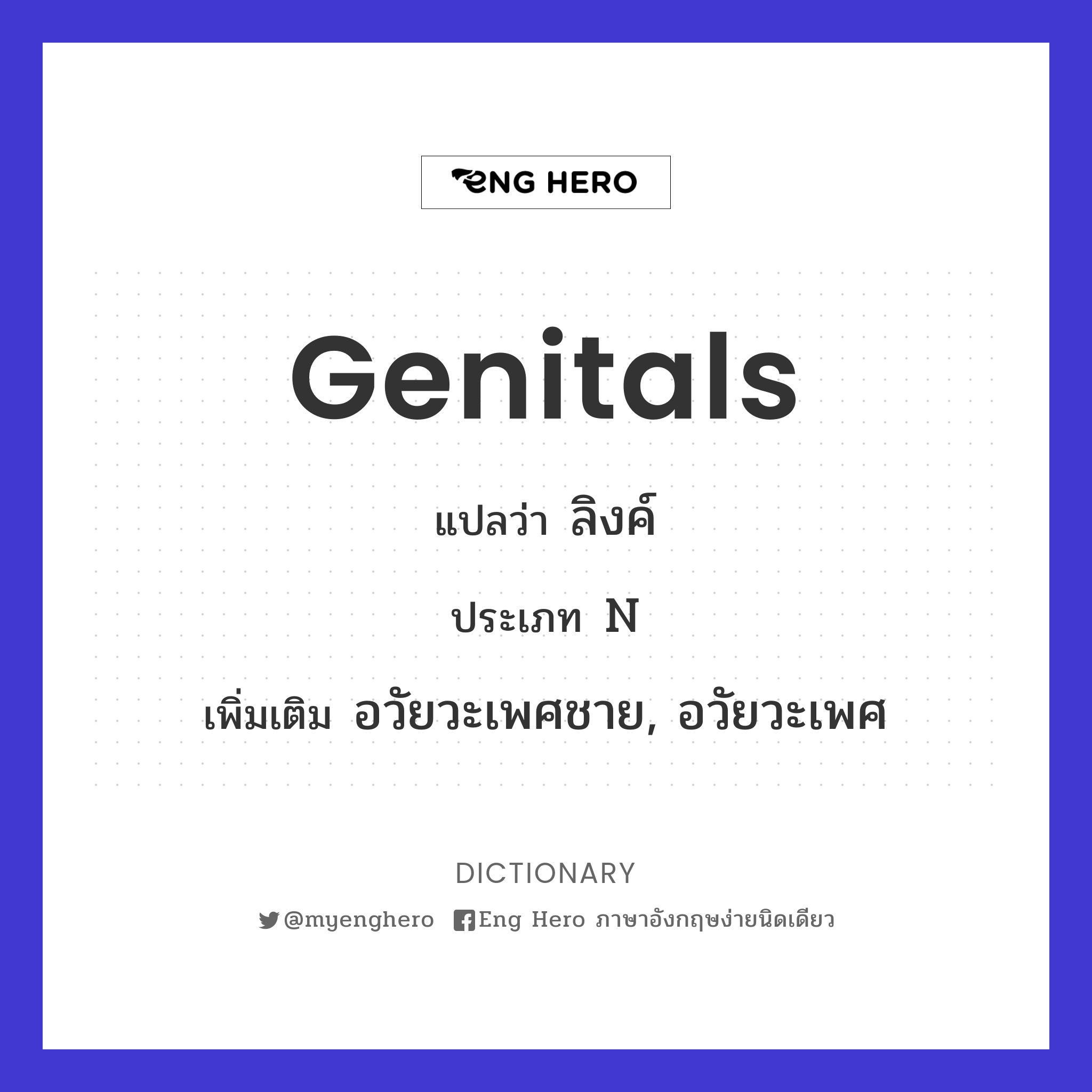 genitals