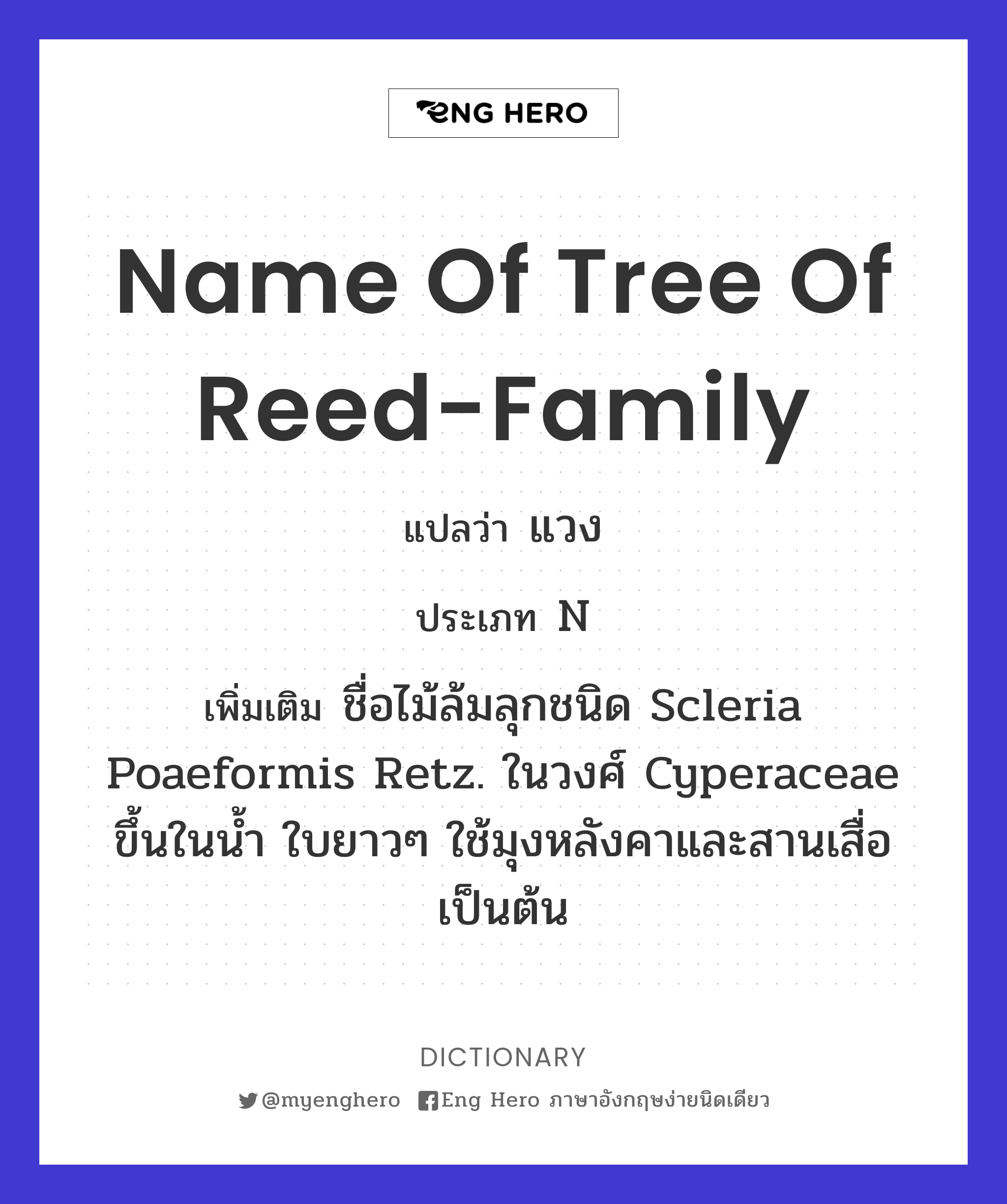 name of tree of reed-family