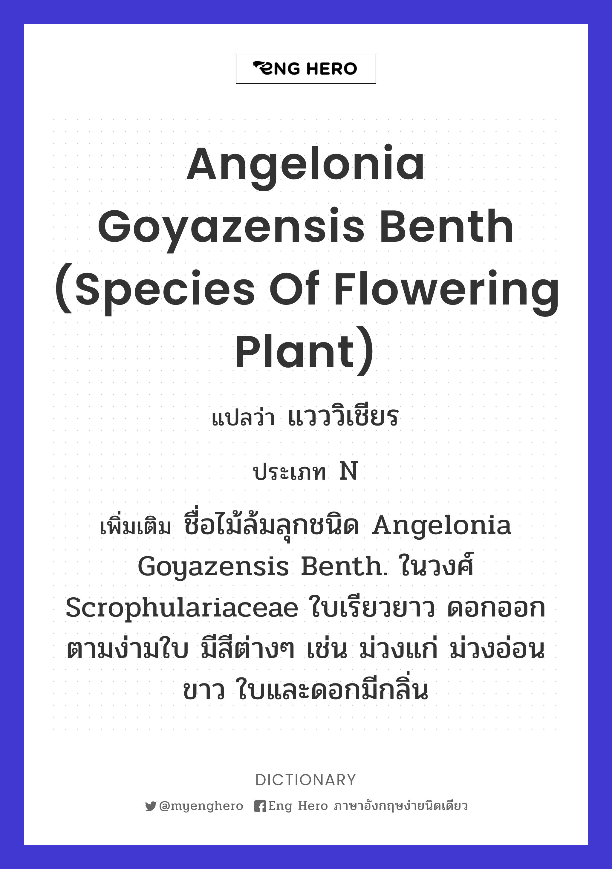Angelonia goyazensis Benth (species of flowering plant)