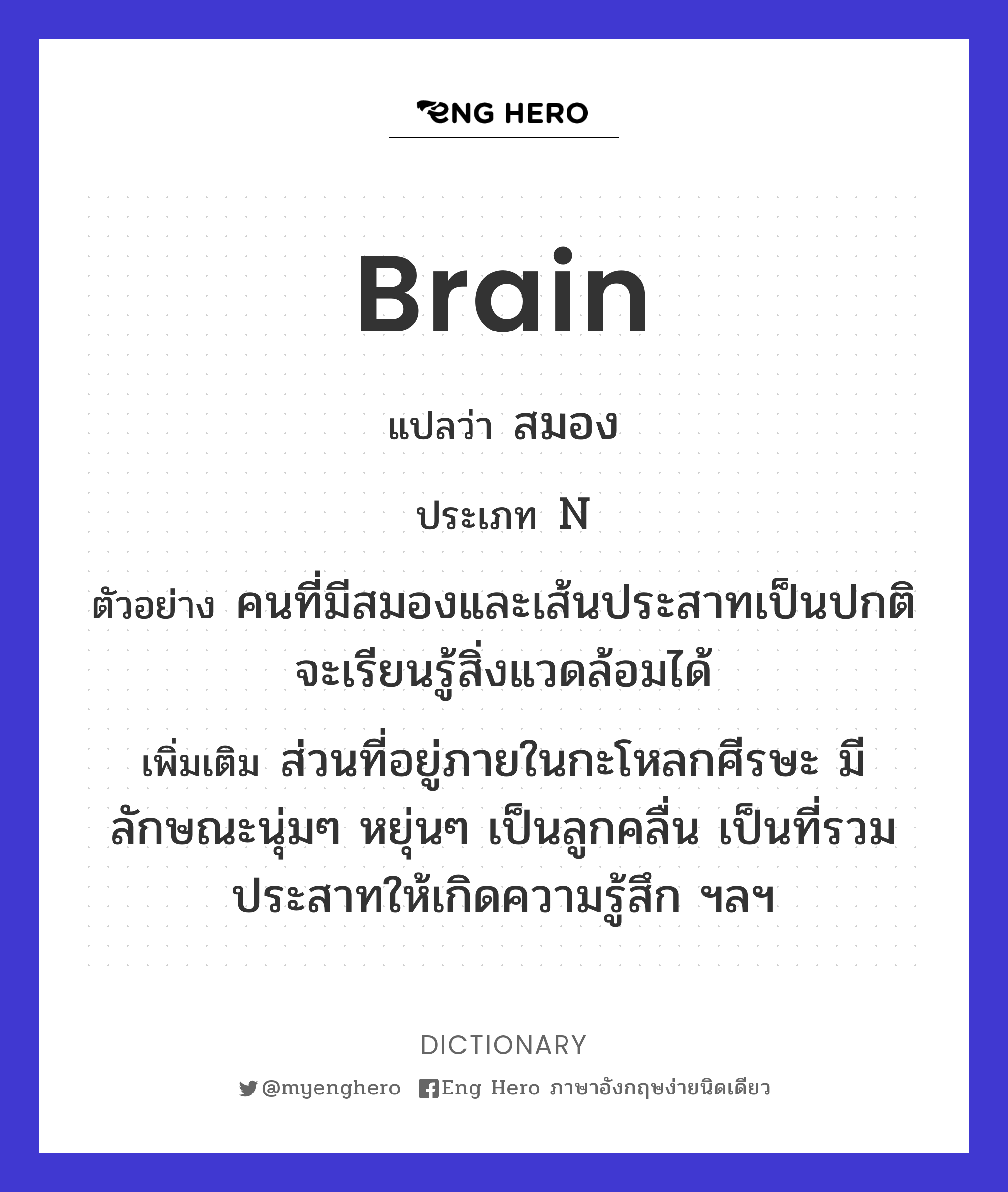 brain