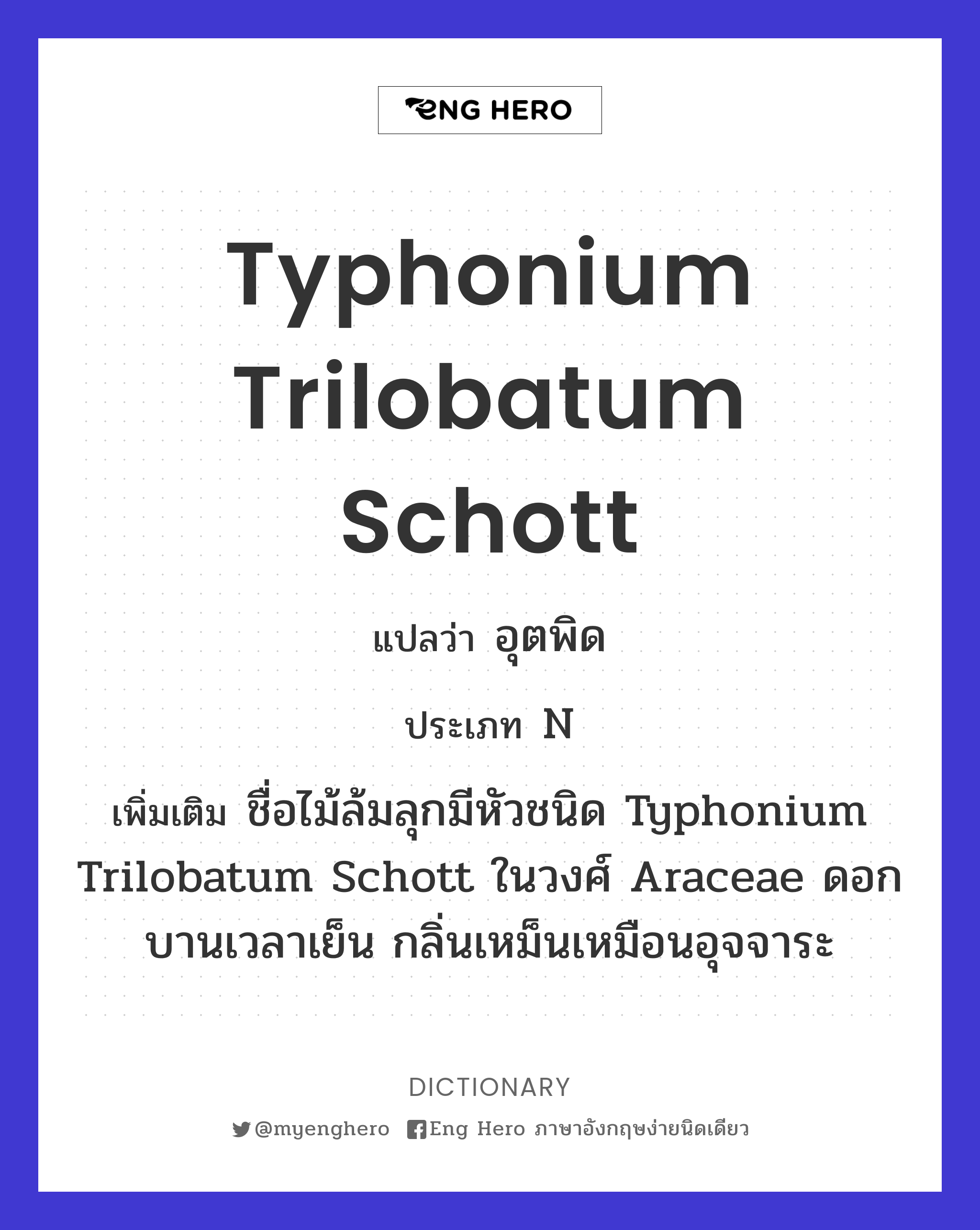 Typhonium trilobatum Schott