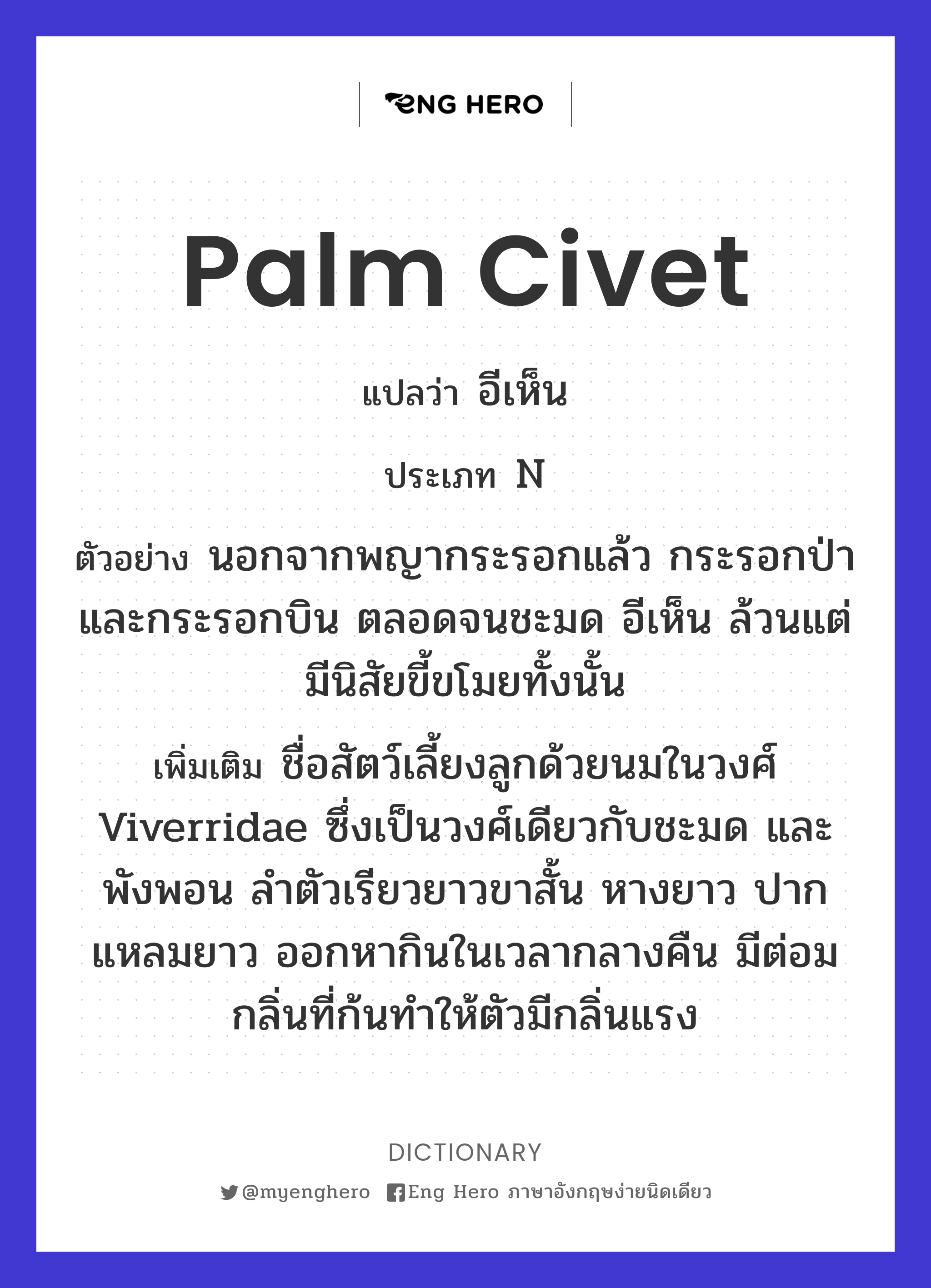 palm civet