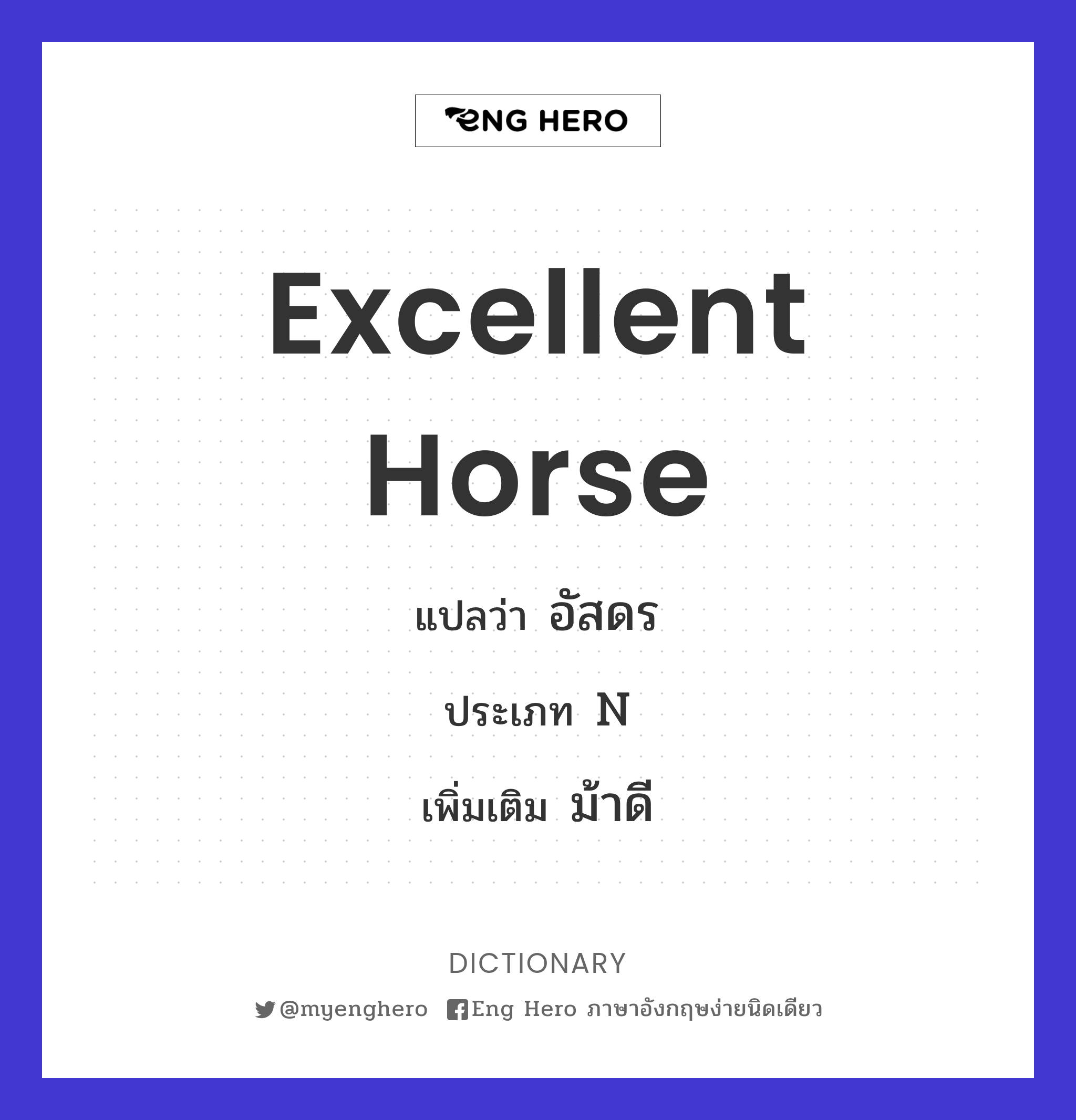 excellent horse