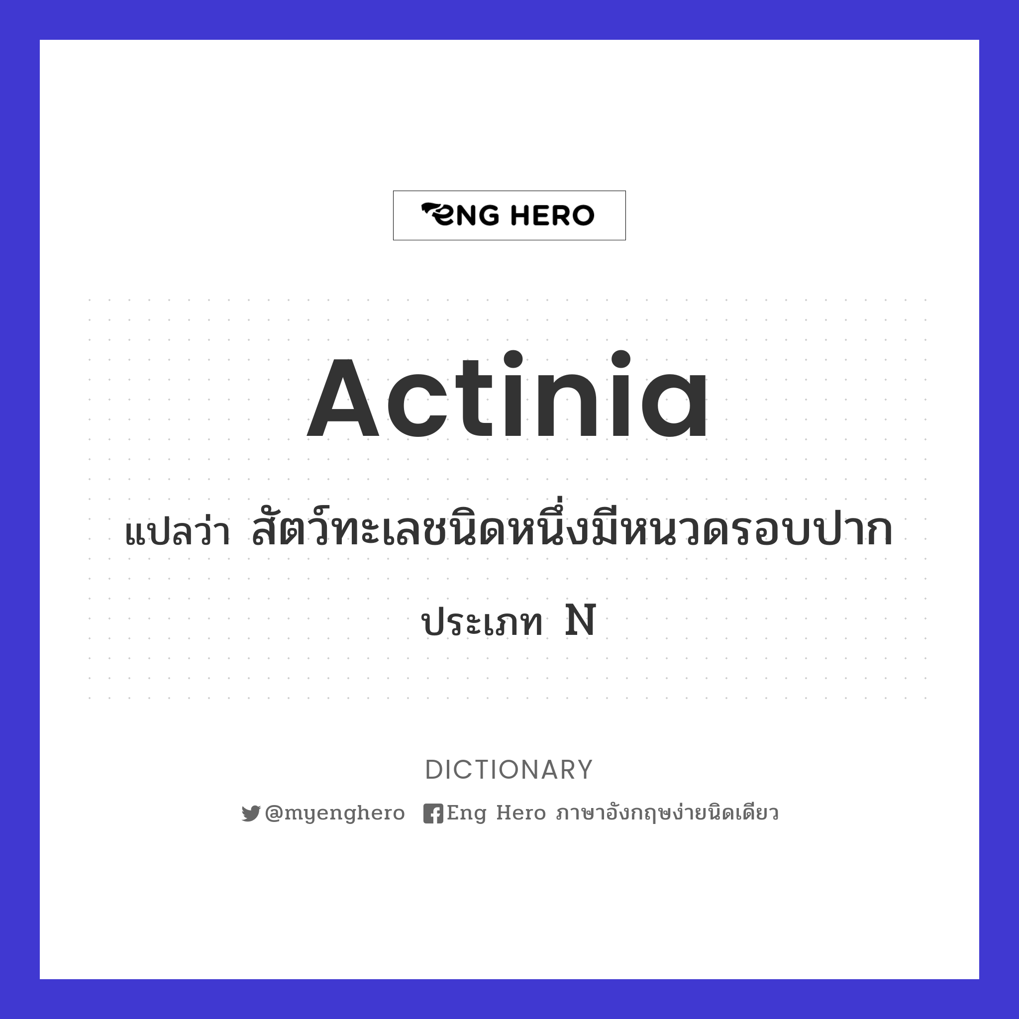 actinia