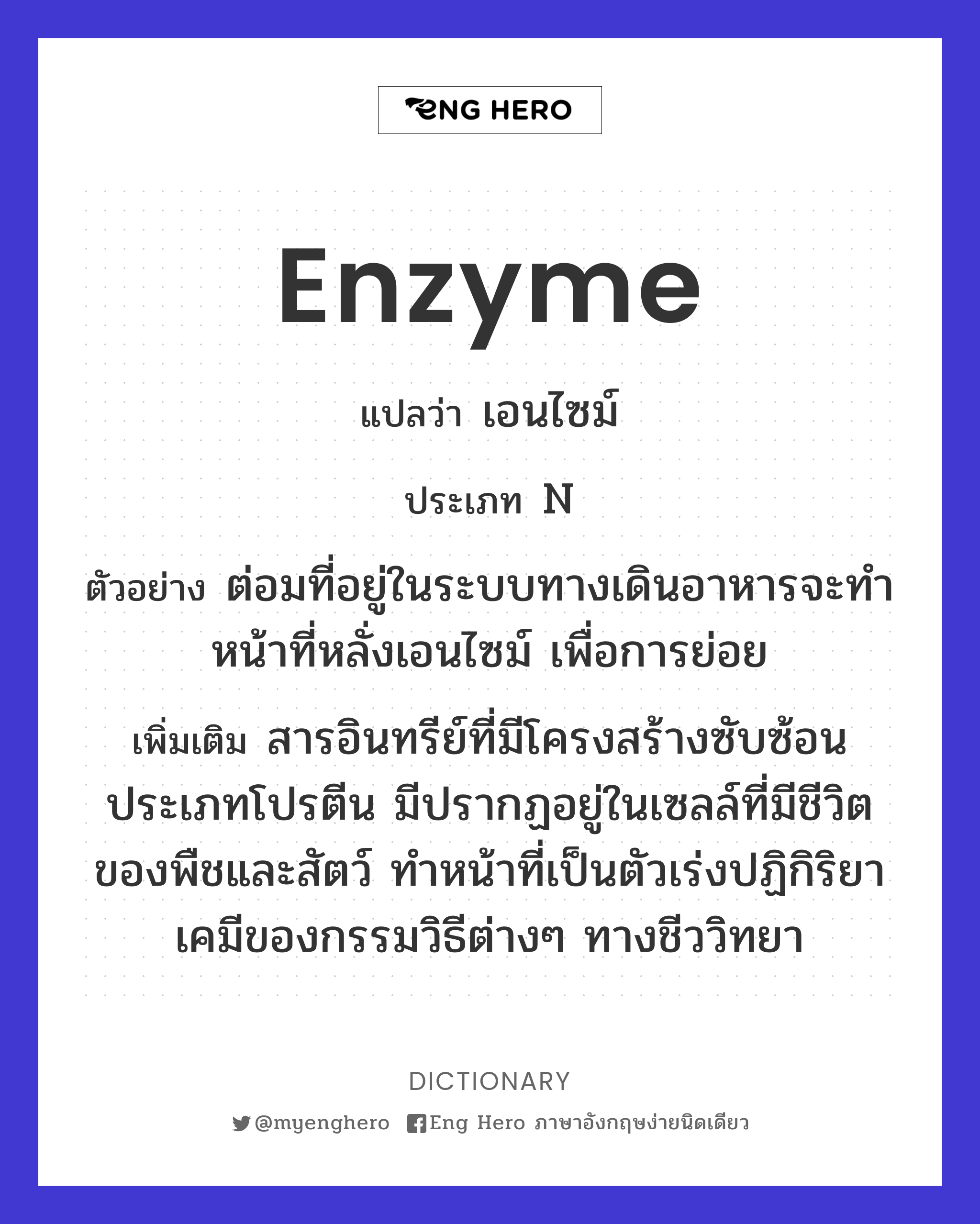 enzyme