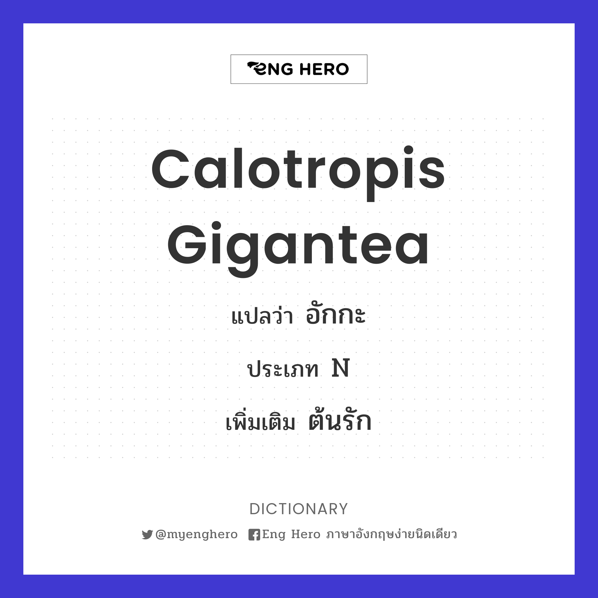 Calotropis gigantea