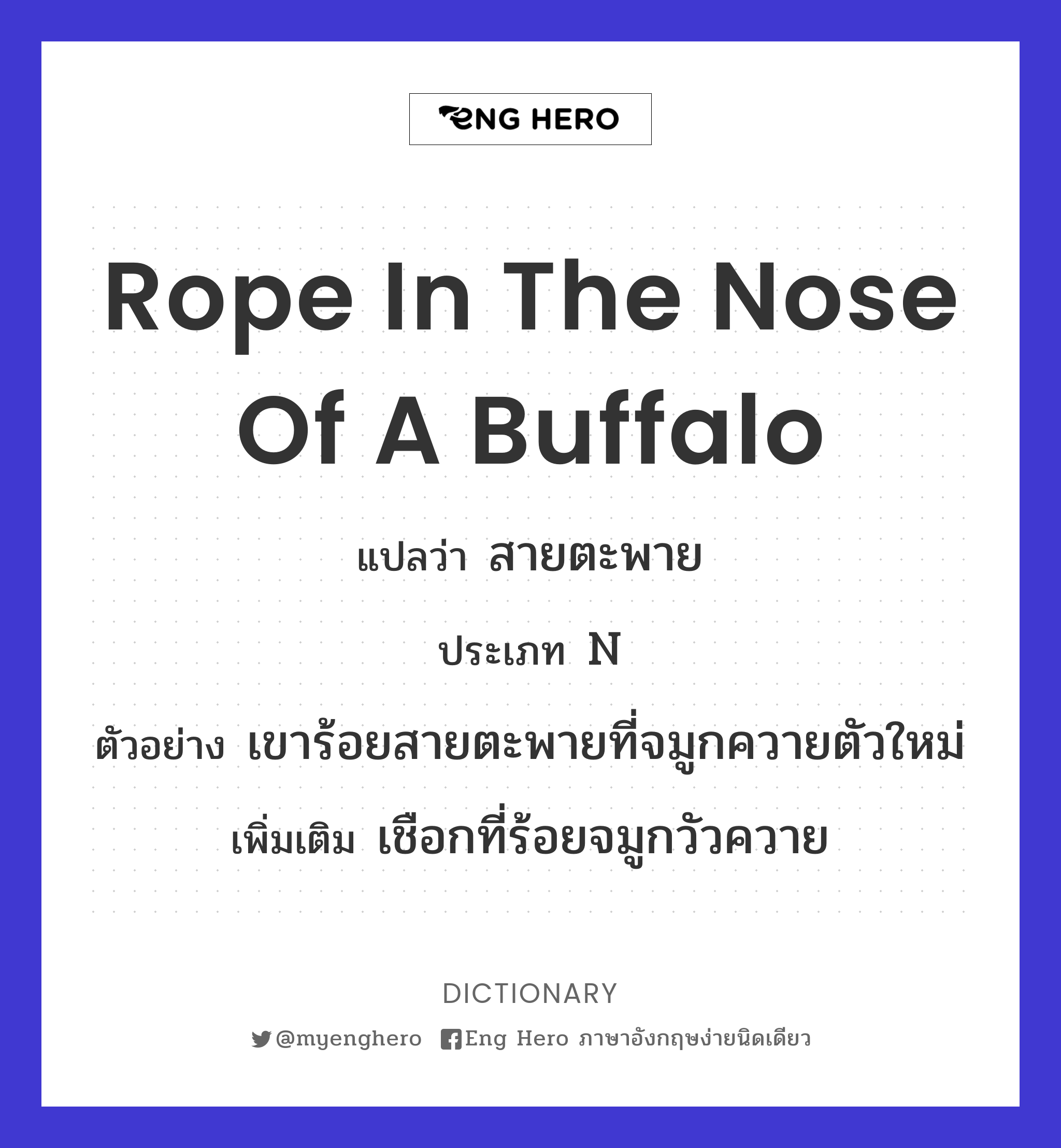 rope in the nose of a buffalo