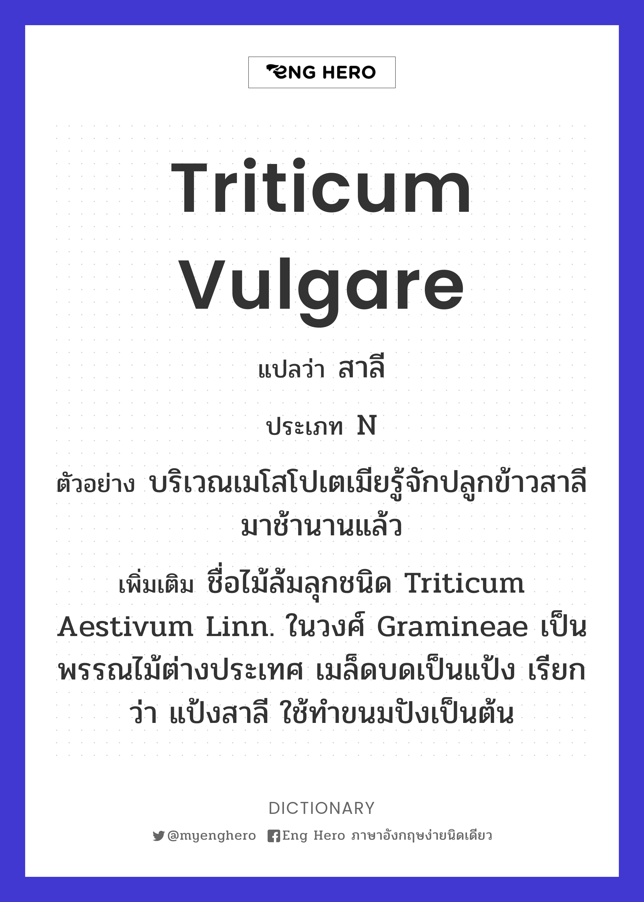 Triticum vulgare