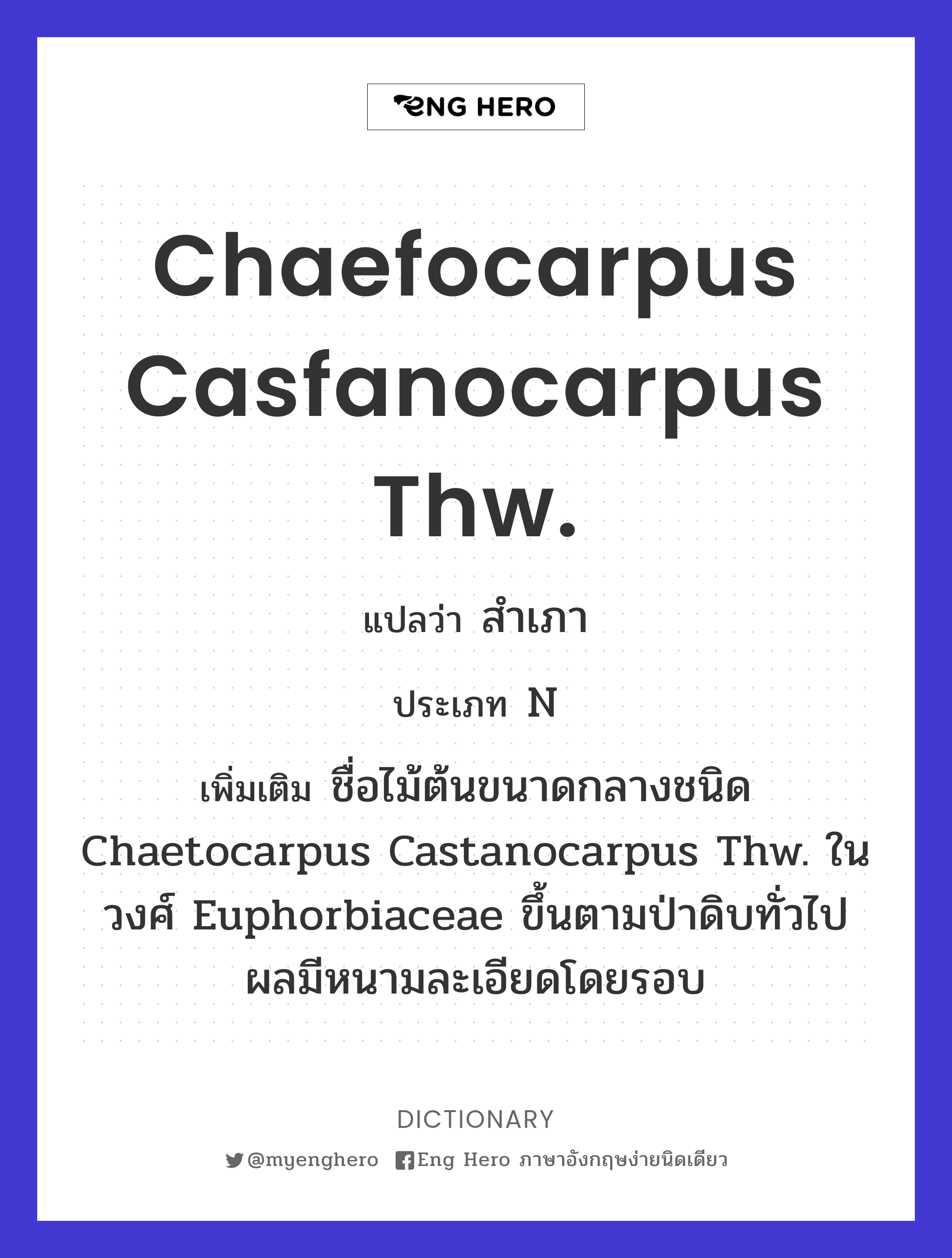 Chaefocarpus casfanocarpus Thw.