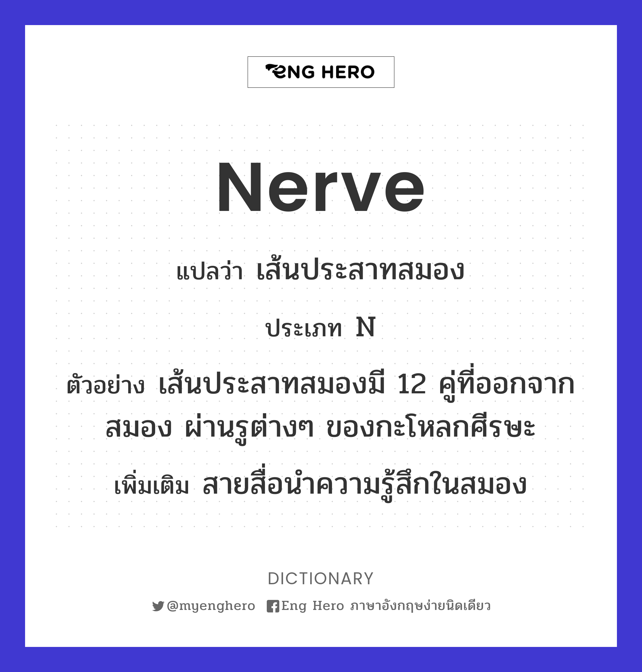 nerve