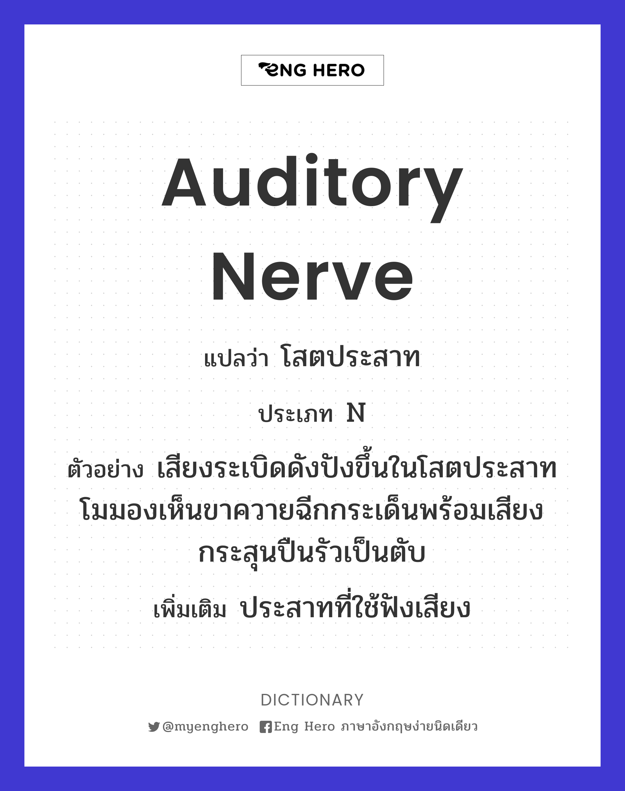 auditory nerve