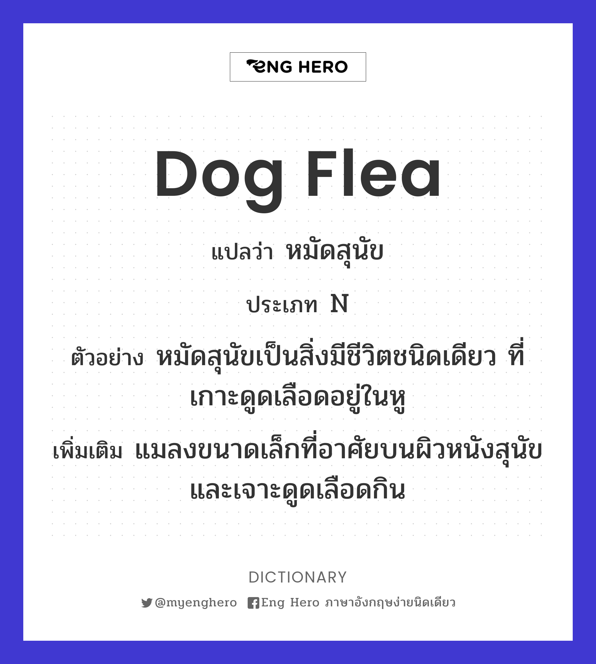 dog flea
