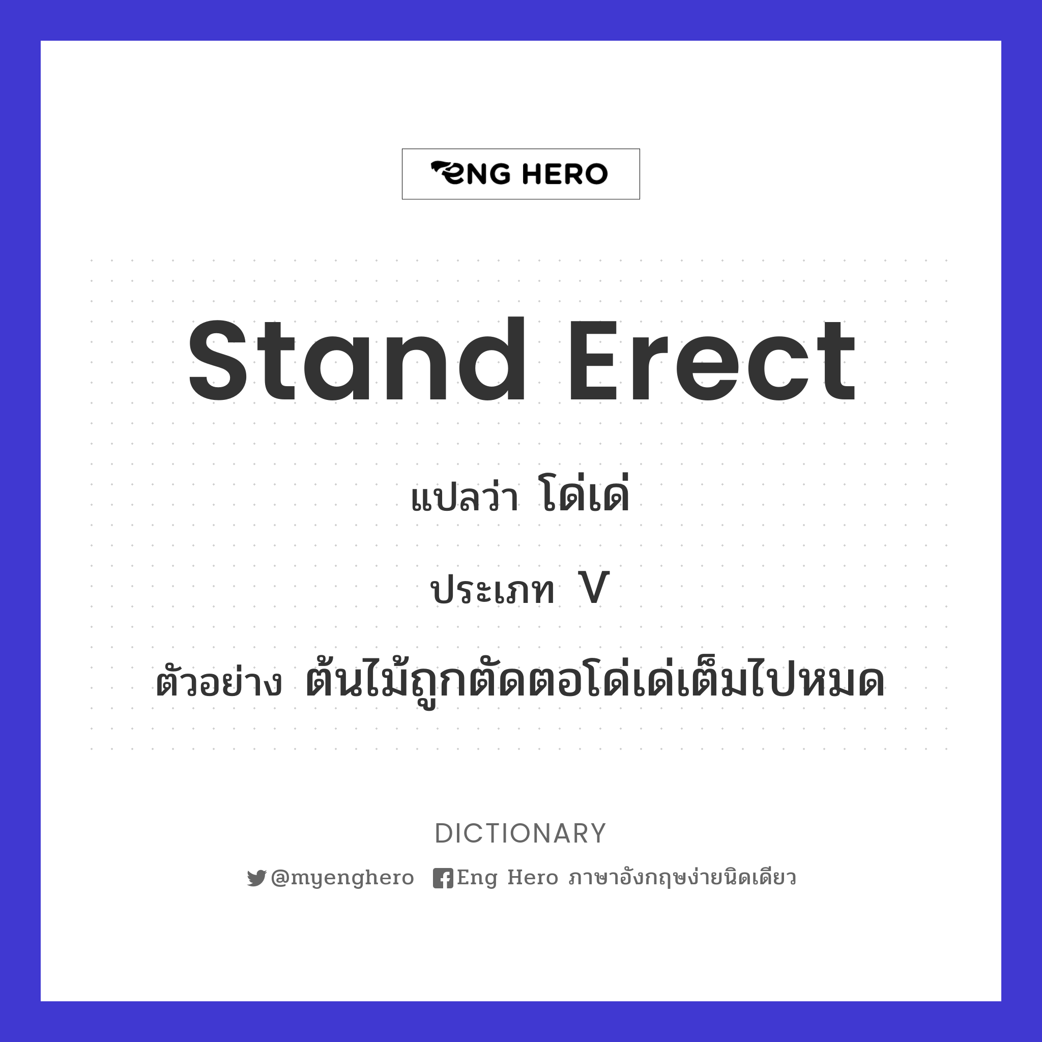 stand erect
