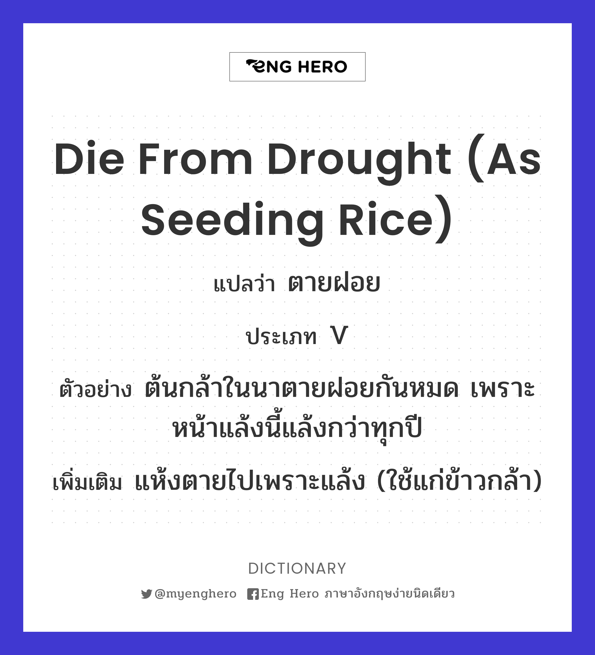 die from drought (as seeding rice)