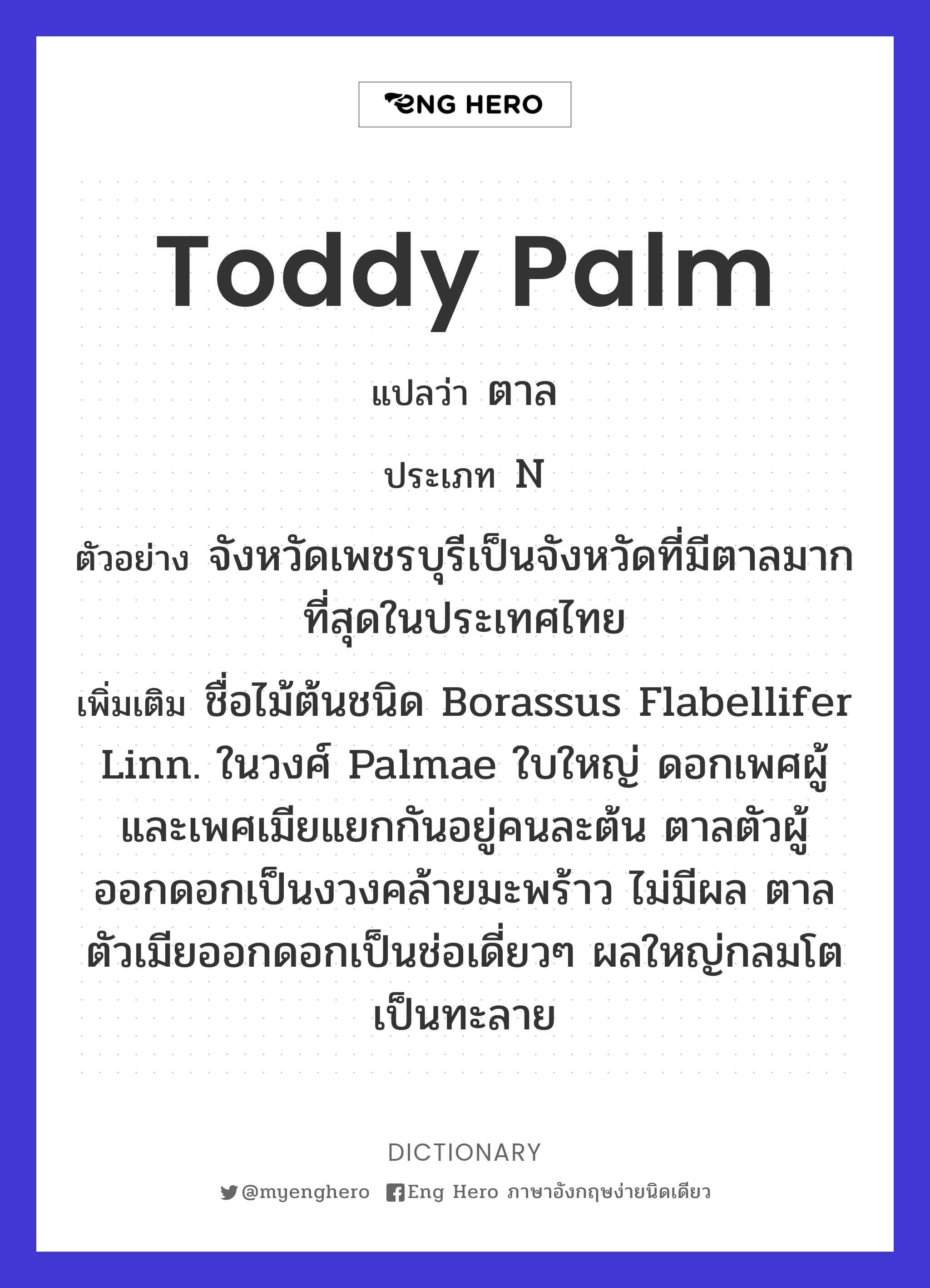 Toddy palm