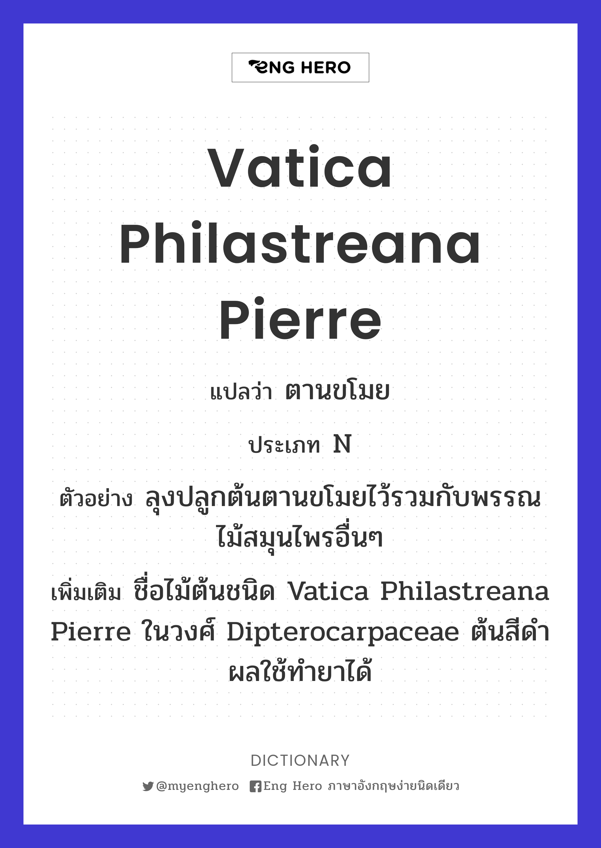 Vatica philastreana Pierre