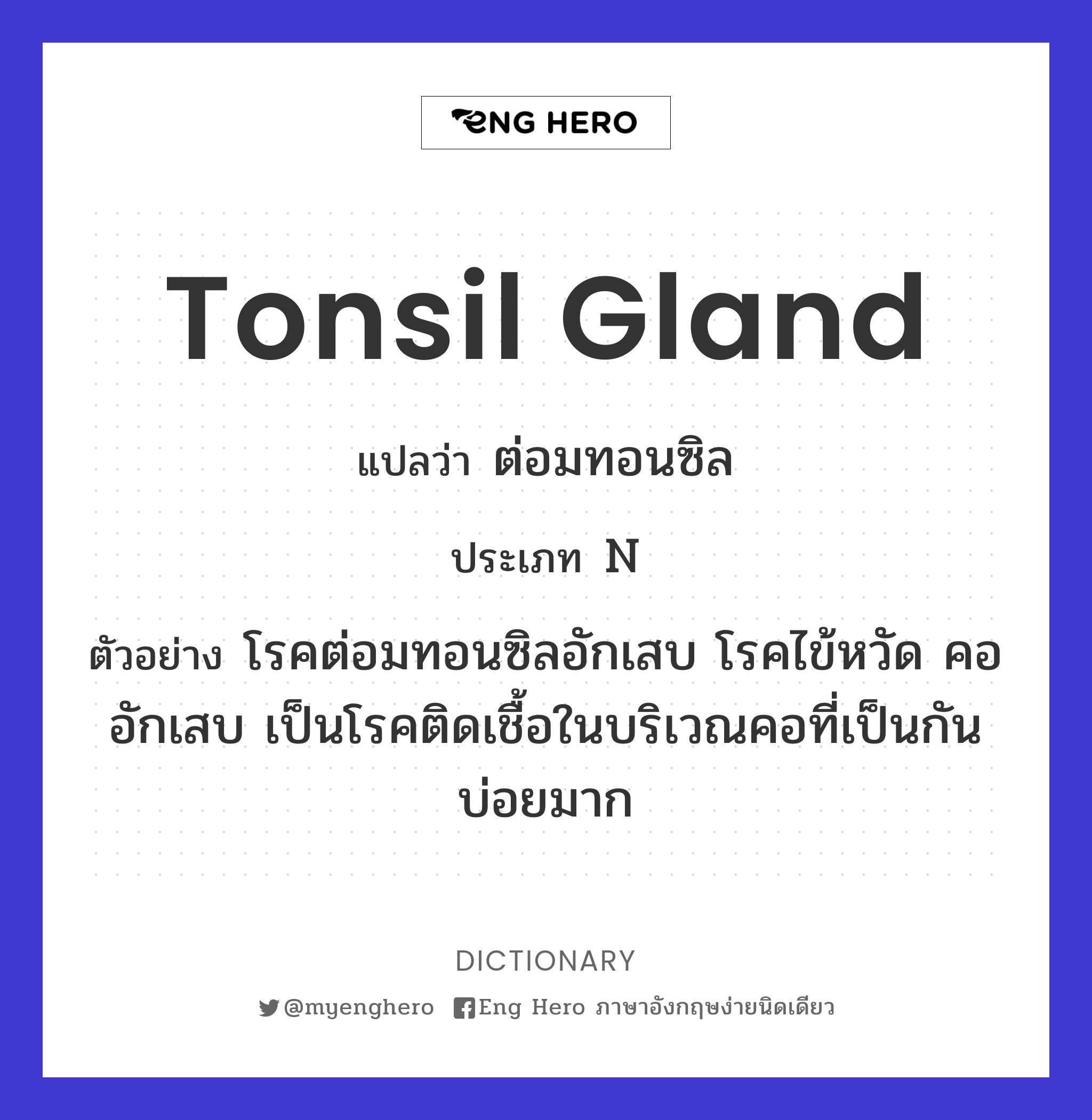 tonsil gland