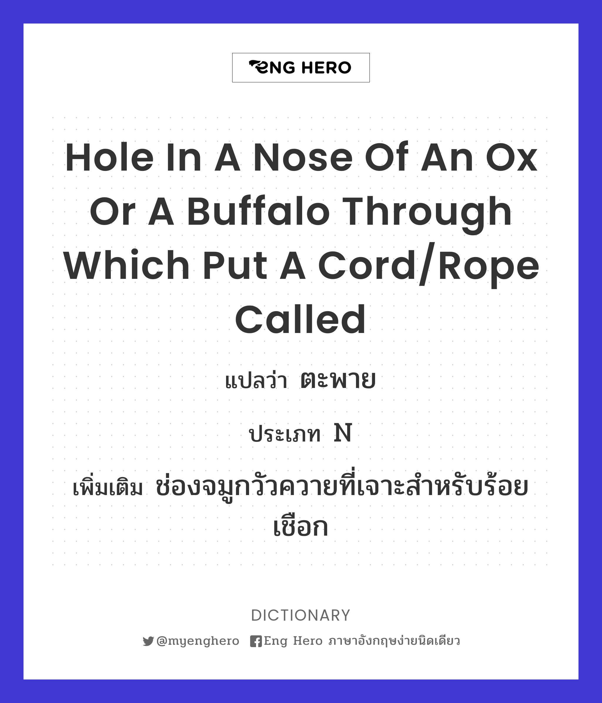 hole in a nose of an ox or a buffalo through which put a cord/rope called
