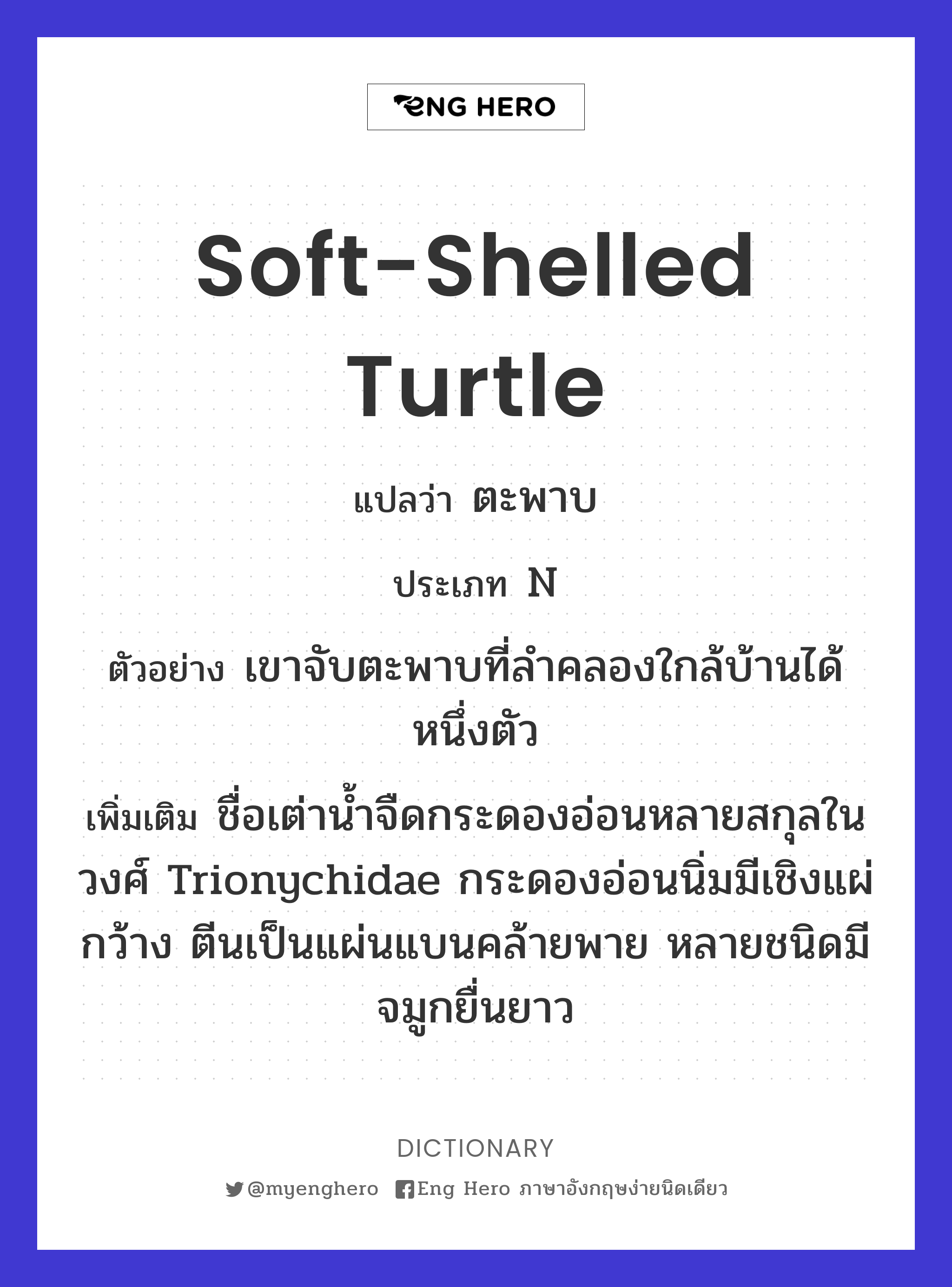 soft-shelled turtle