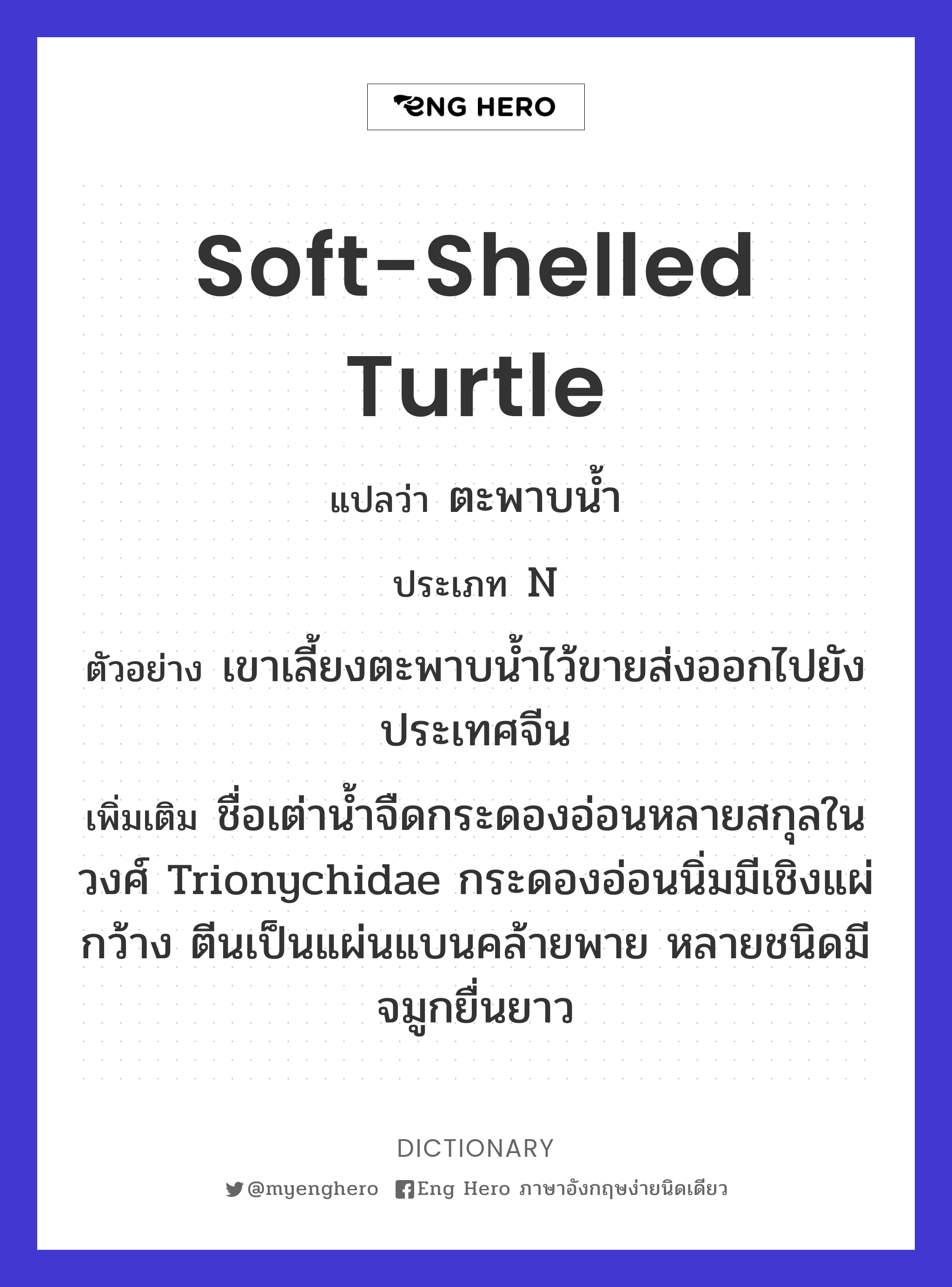 soft-shelled turtle