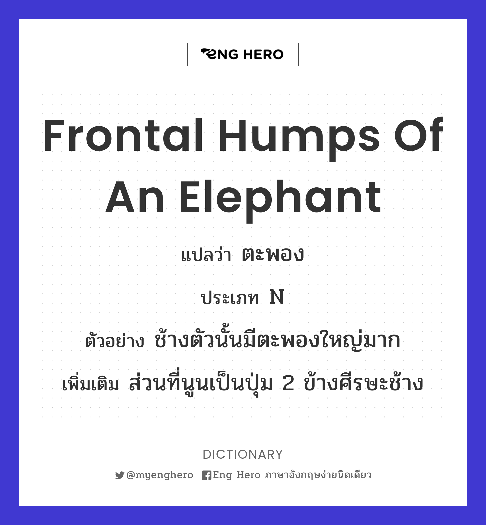 frontal humps of an elephant