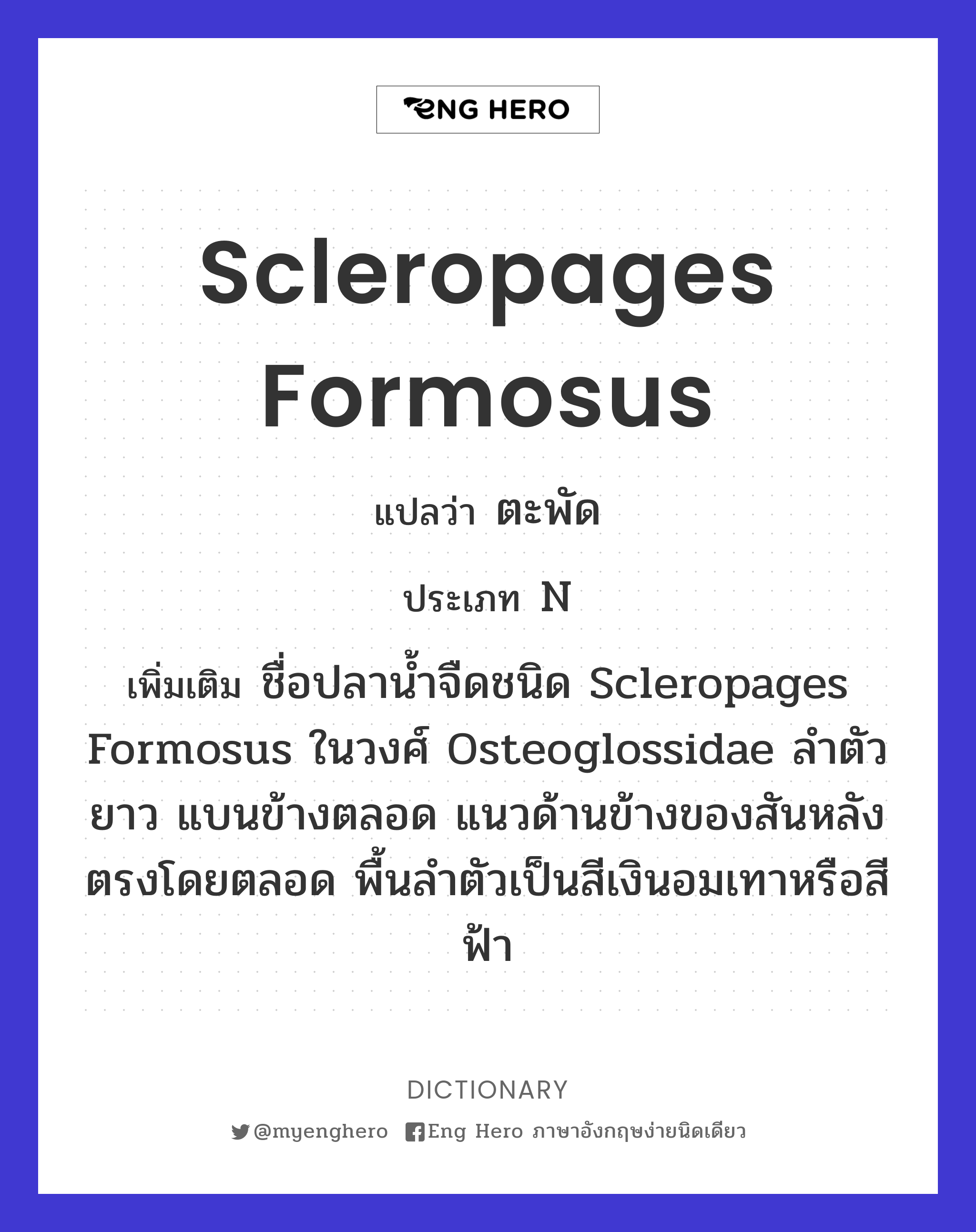 Scleropages formosus