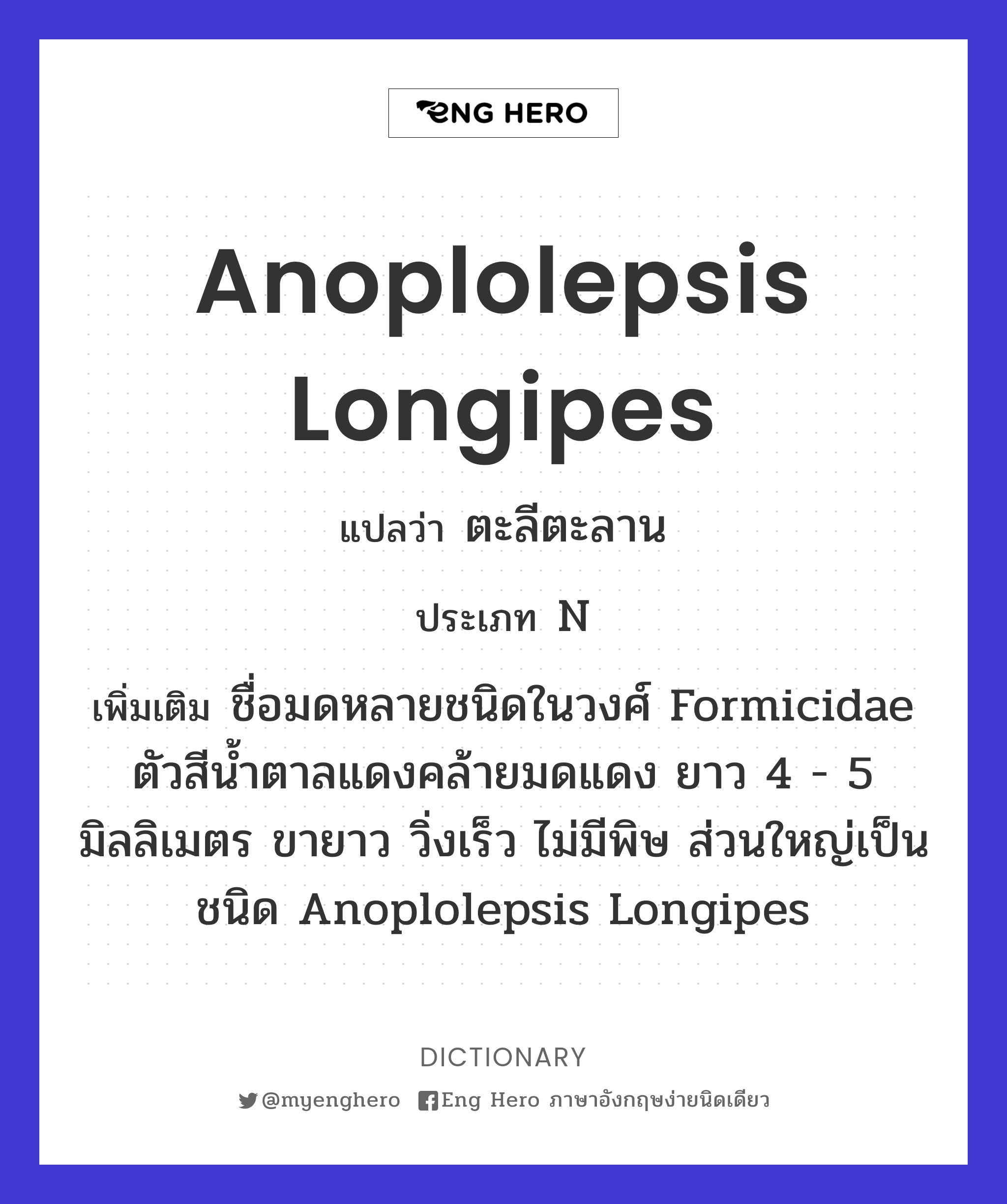 Anoplolepsis longipes