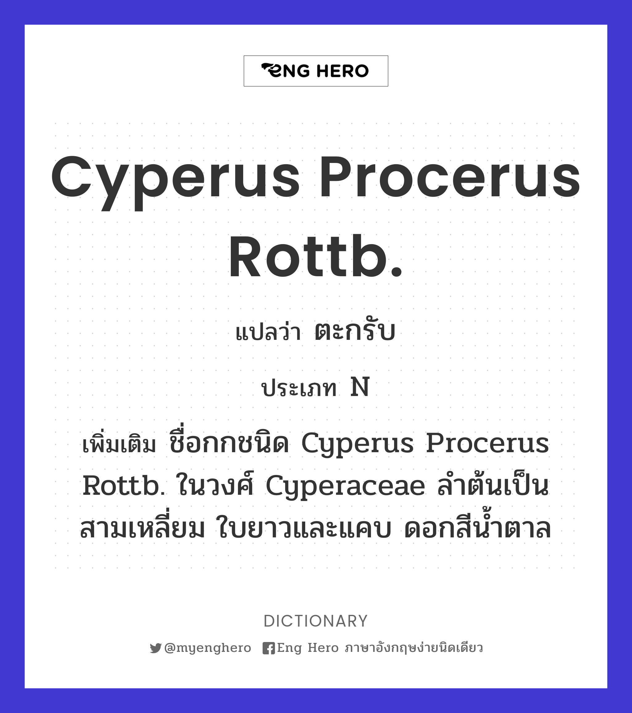 Cyperus procerus Rottb.