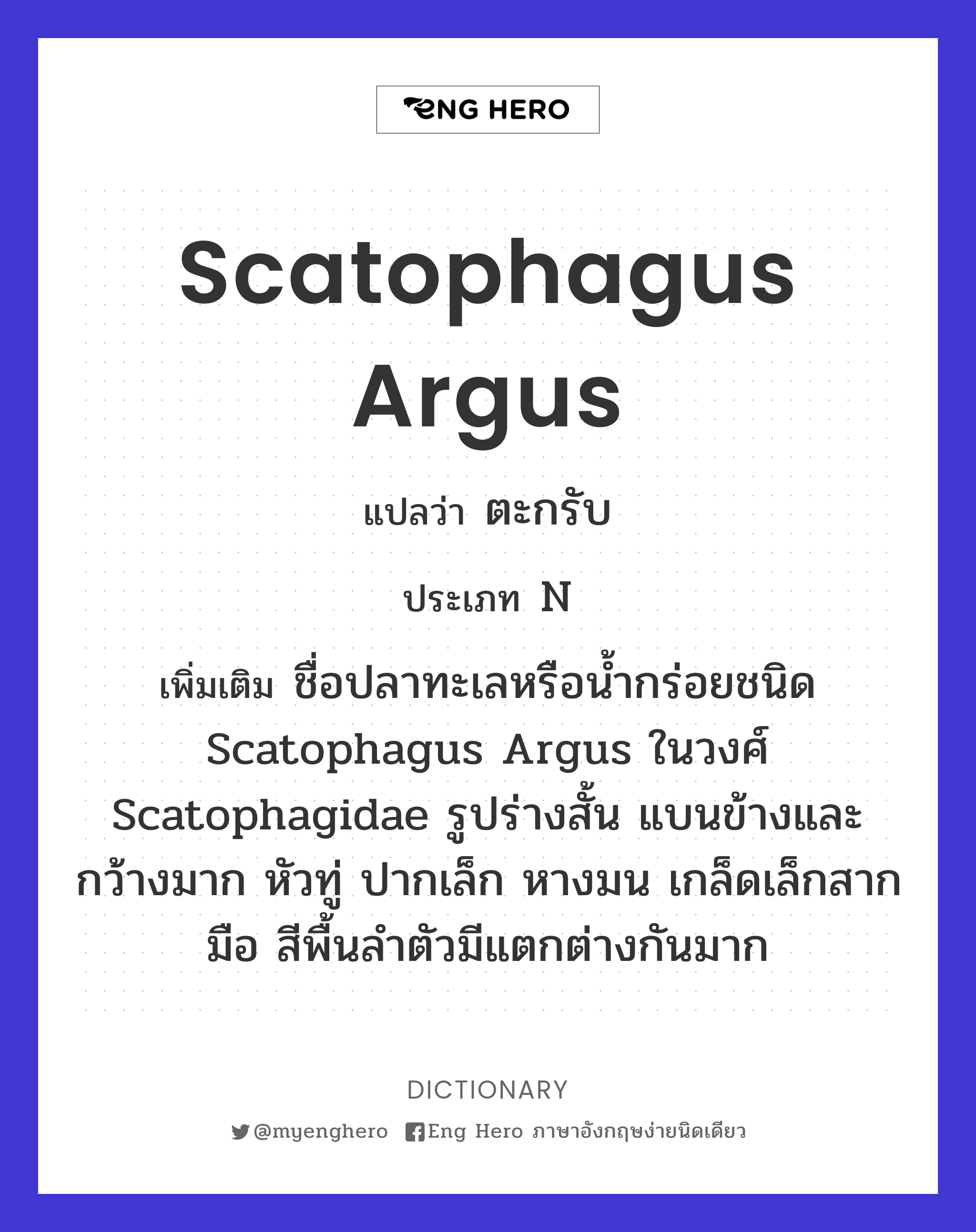Scatophagus argus