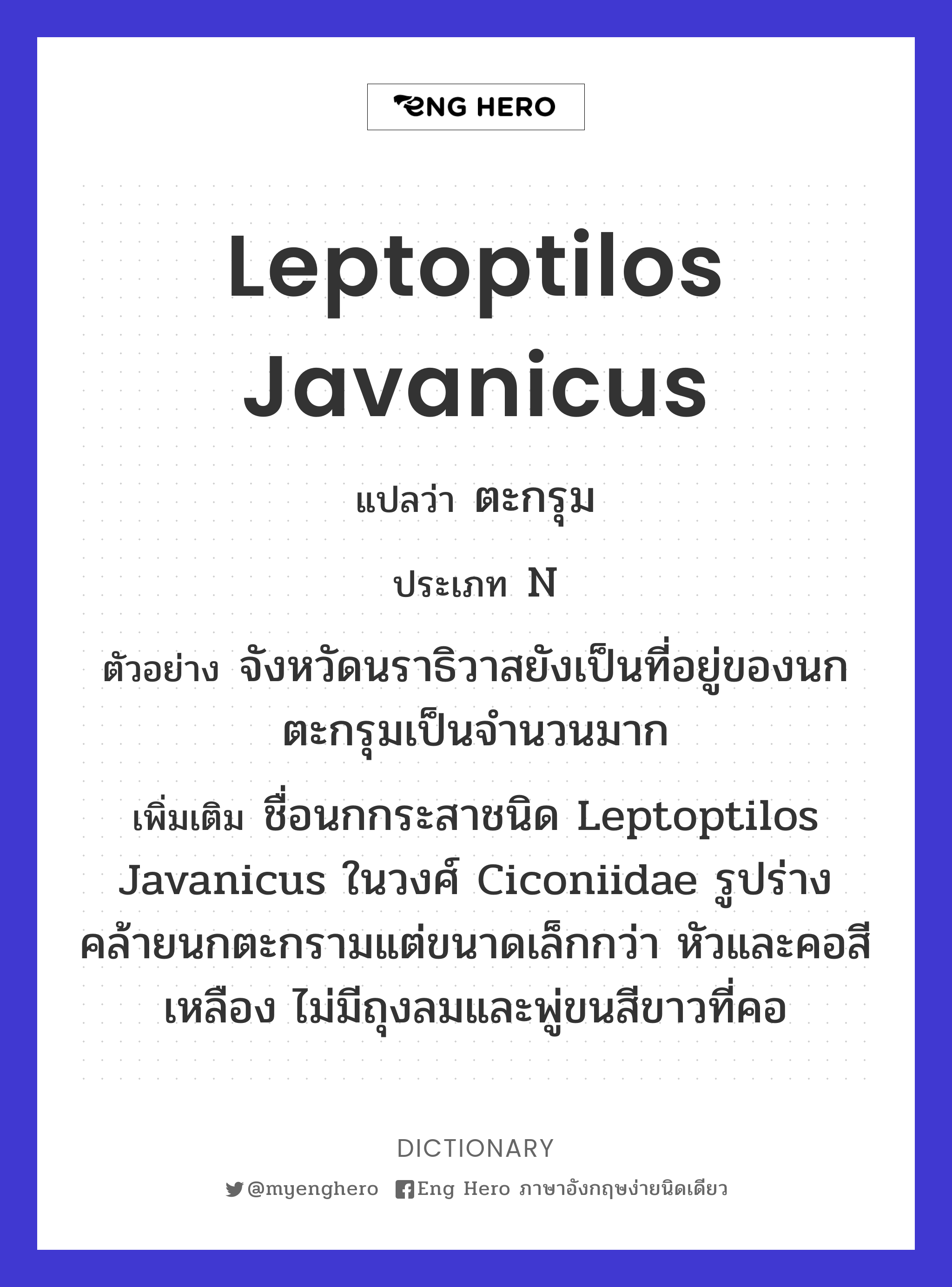 Leptoptilos javanicus