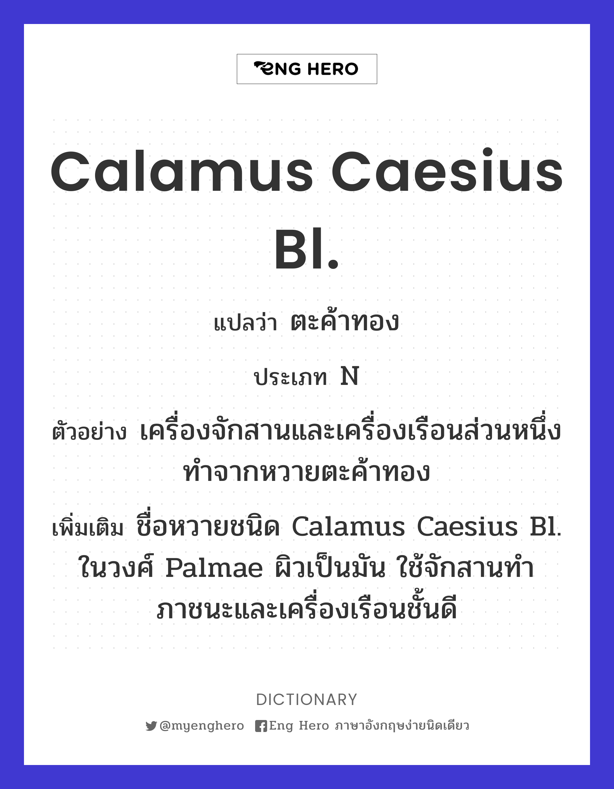 Calamus caesius Bl.