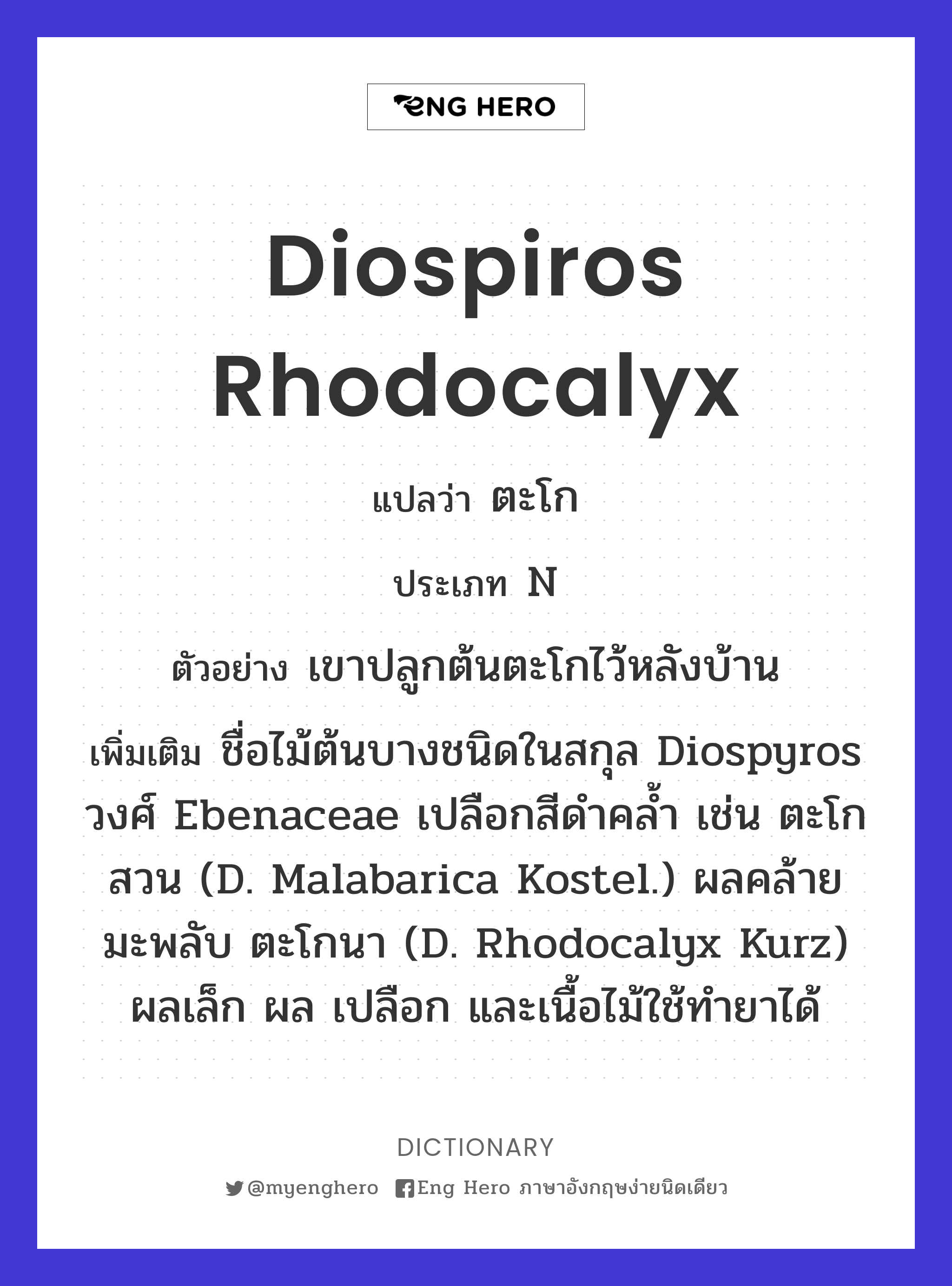 Diospiros rhodocalyx