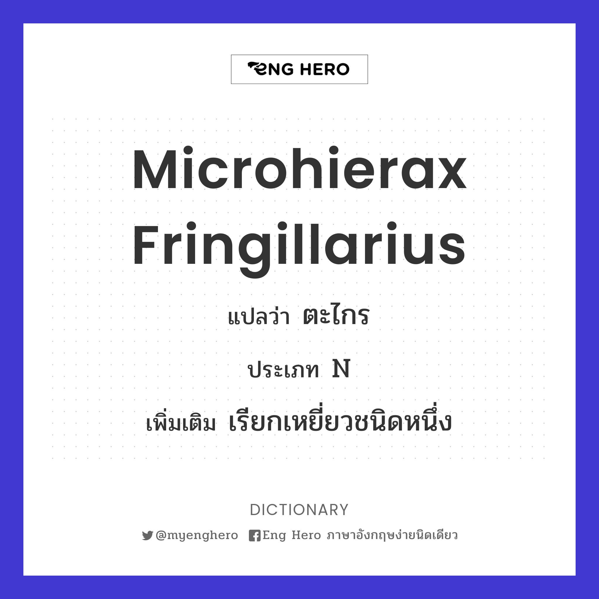 Microhierax fringillarius