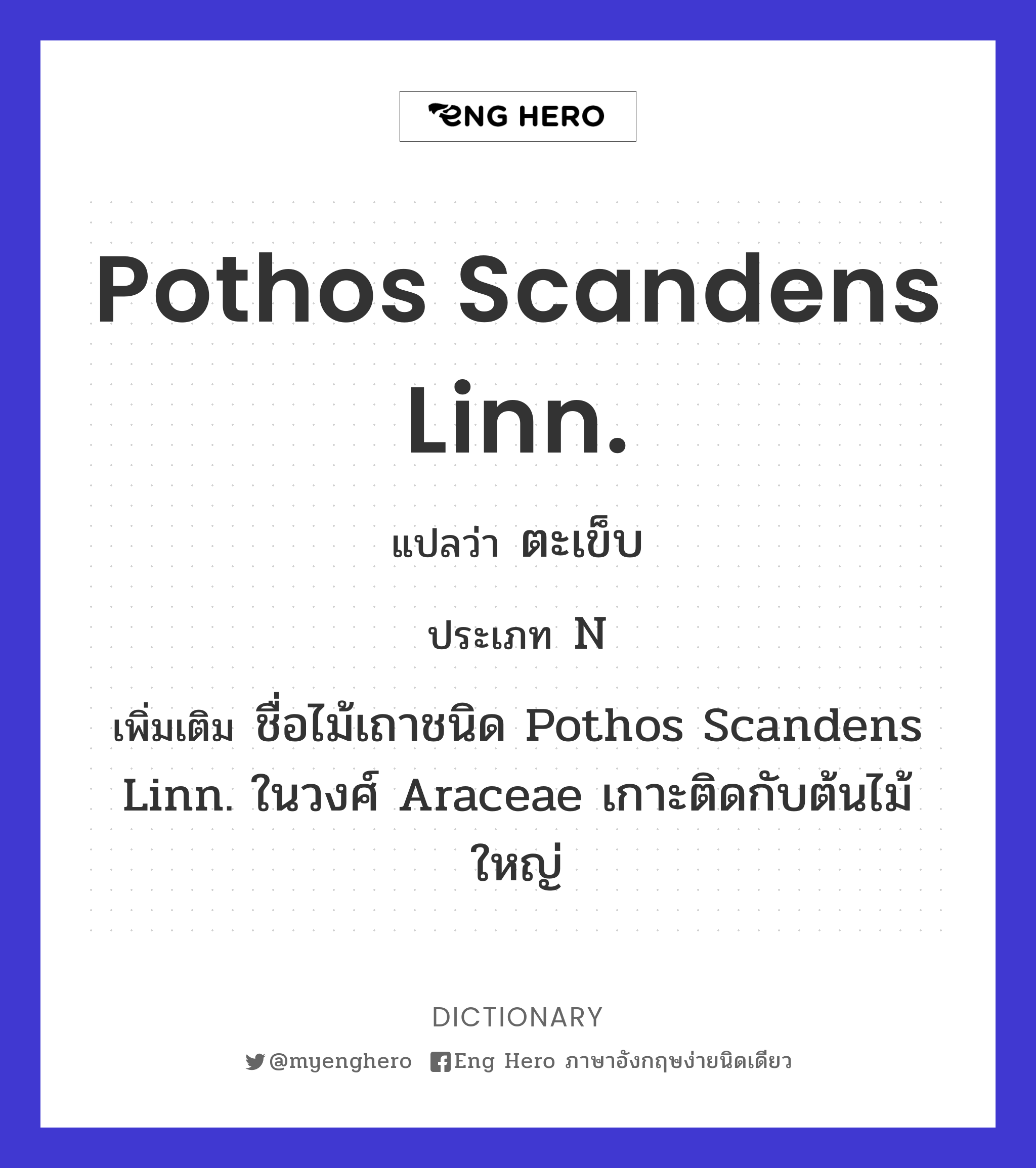 Pothos scandens Linn.