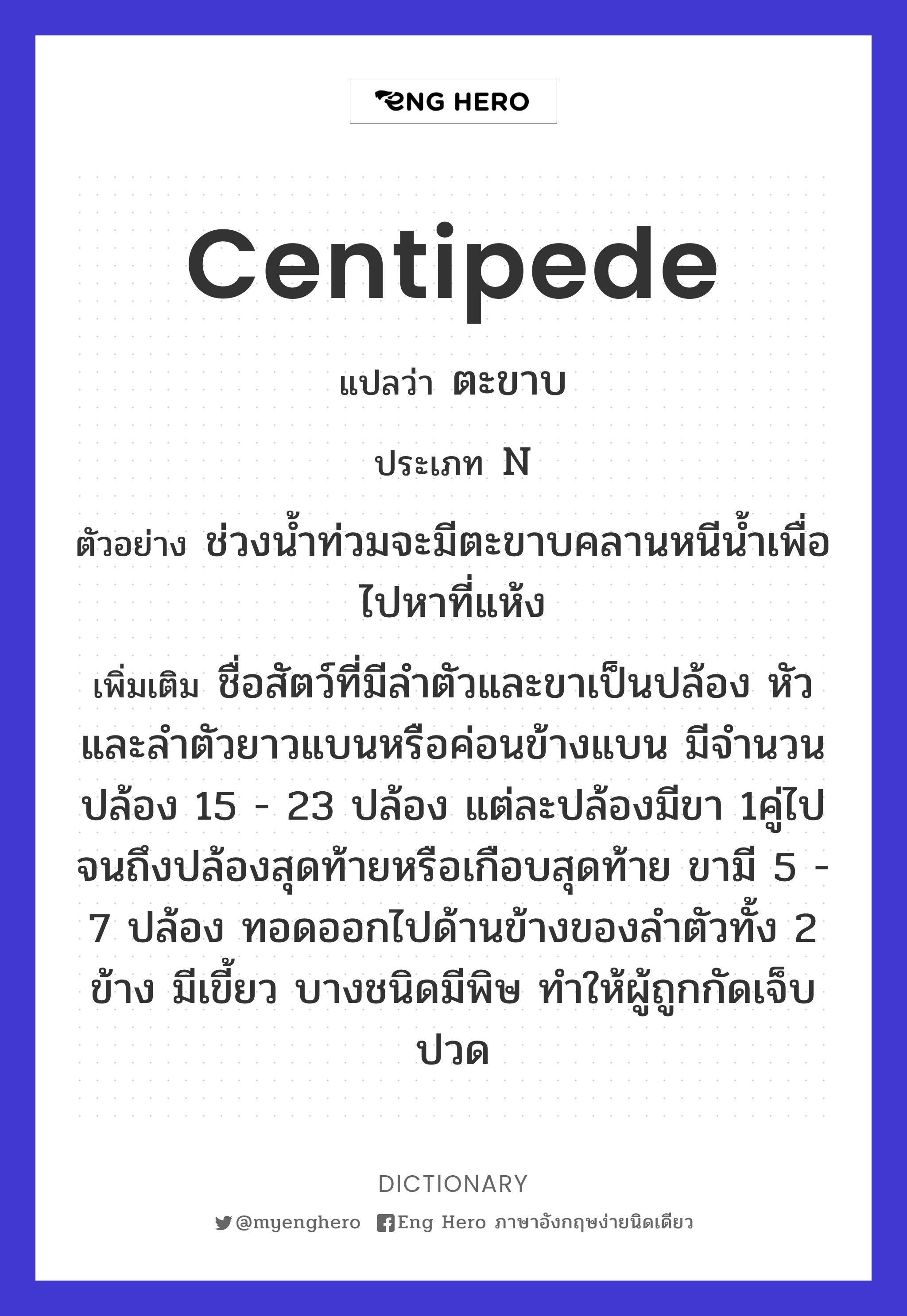 centipede