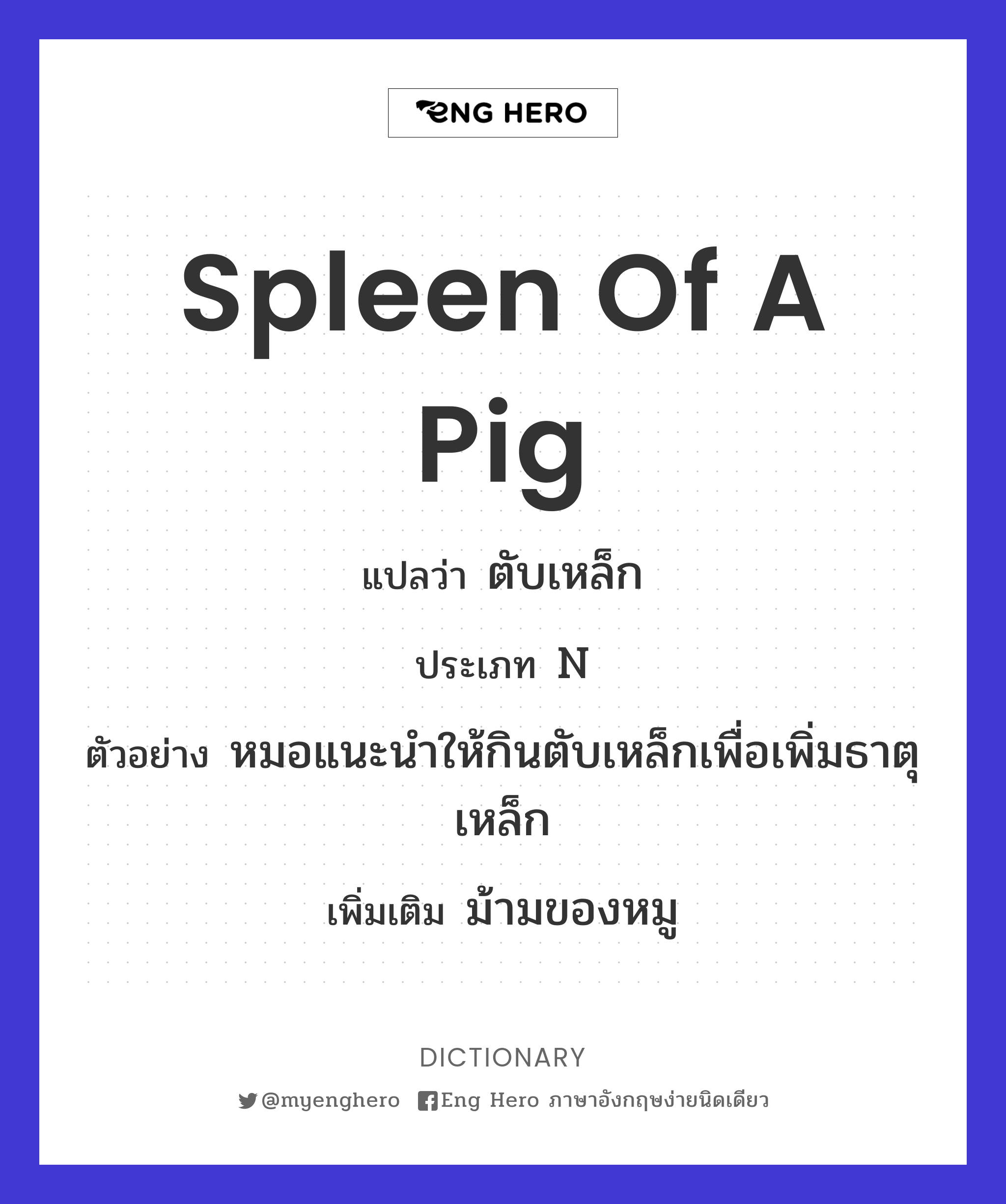 spleen of a pig