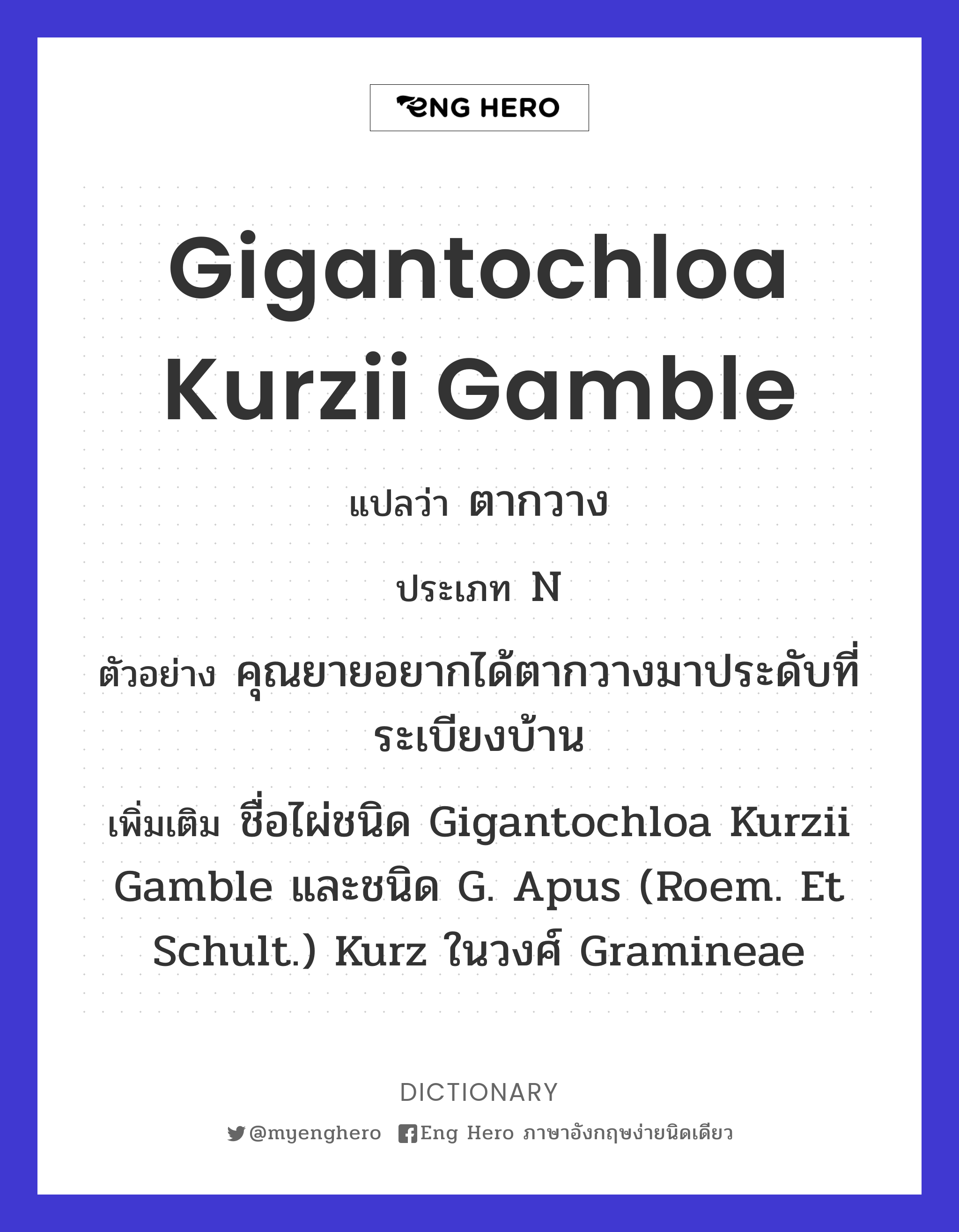 Gigantochloa kurzii Gamble