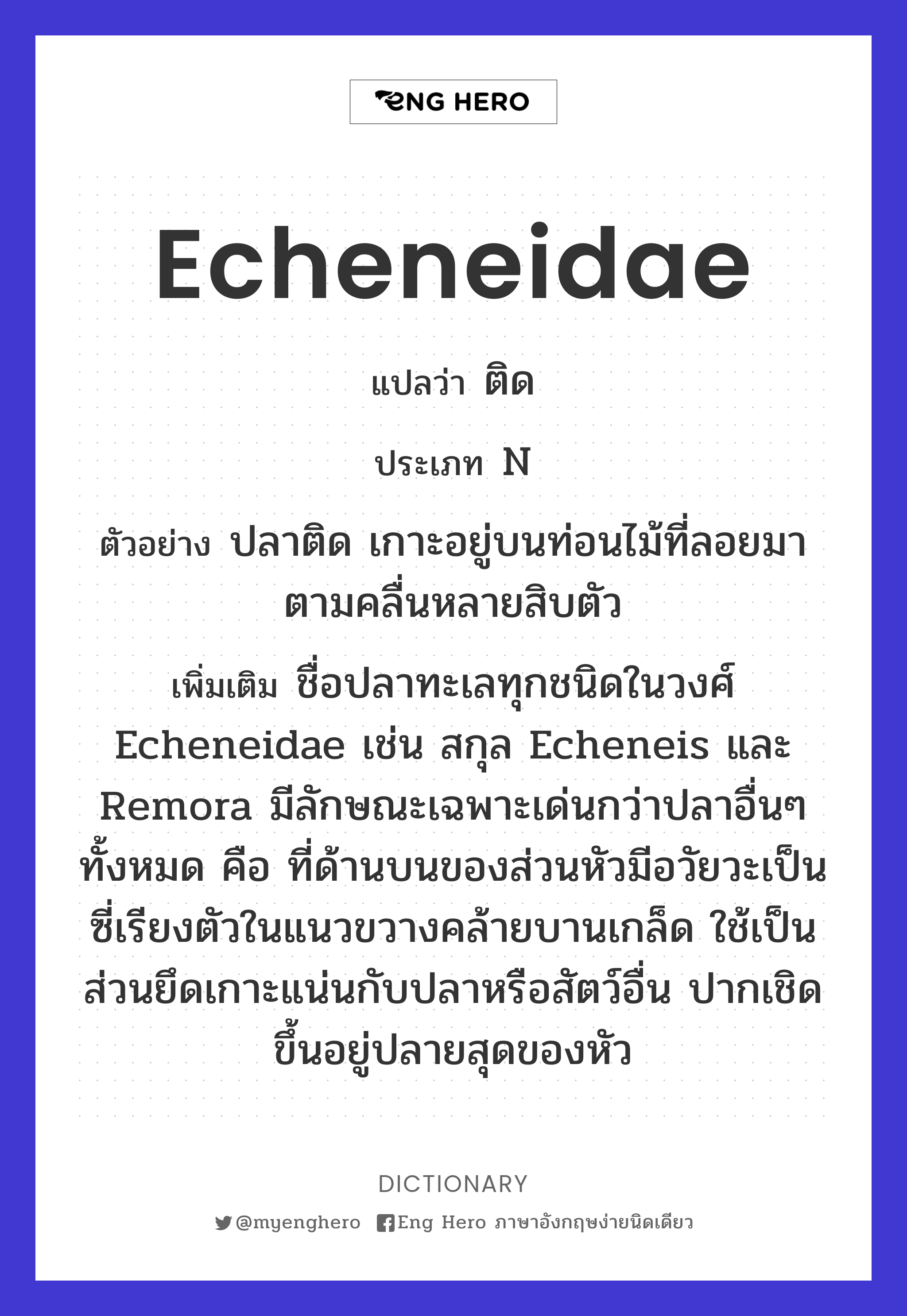 Echeneidae