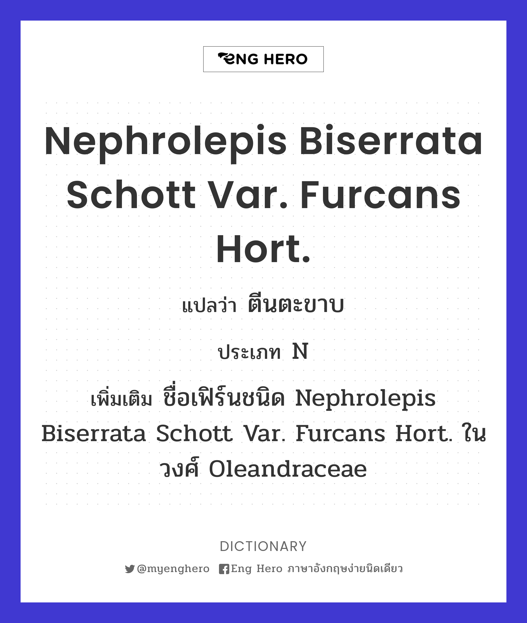 Nephrolepis biserrata Schott var. furcans Hort.