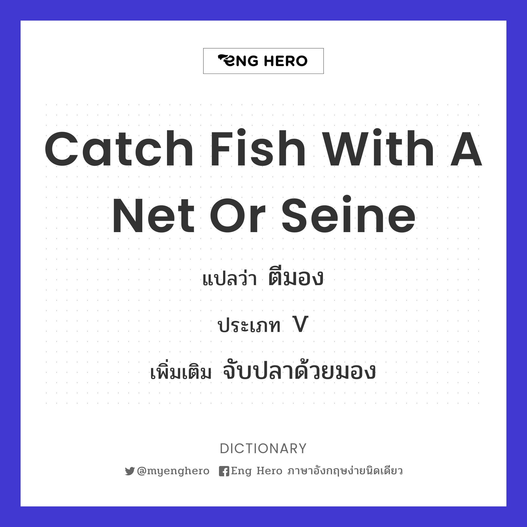 catch fish with a net or seine