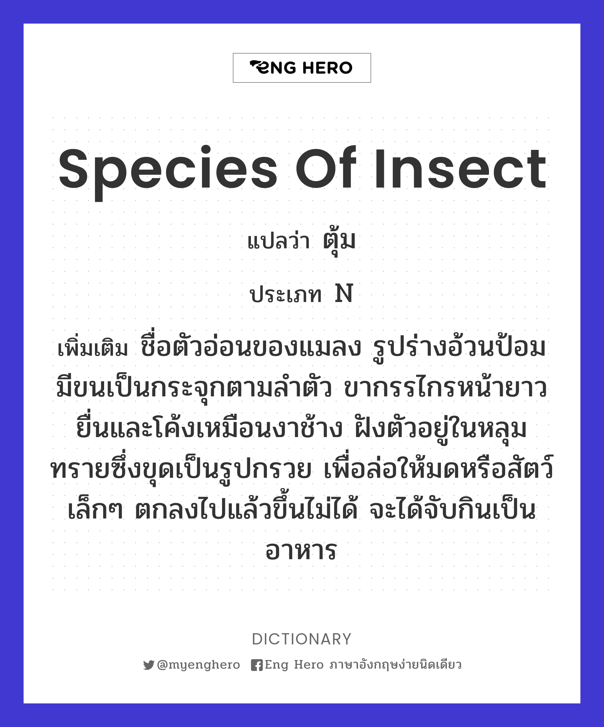 species of insect