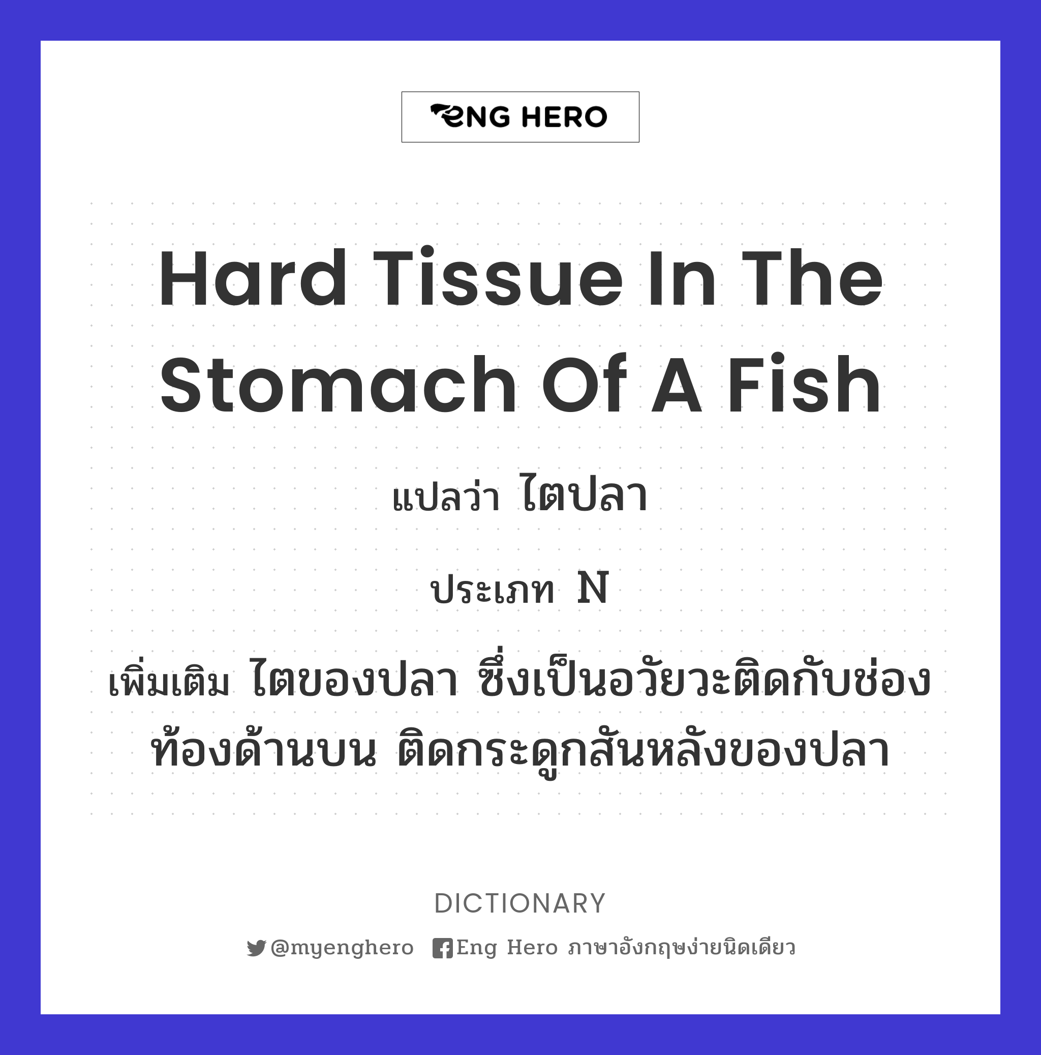 hard tissue in the stomach of a fish