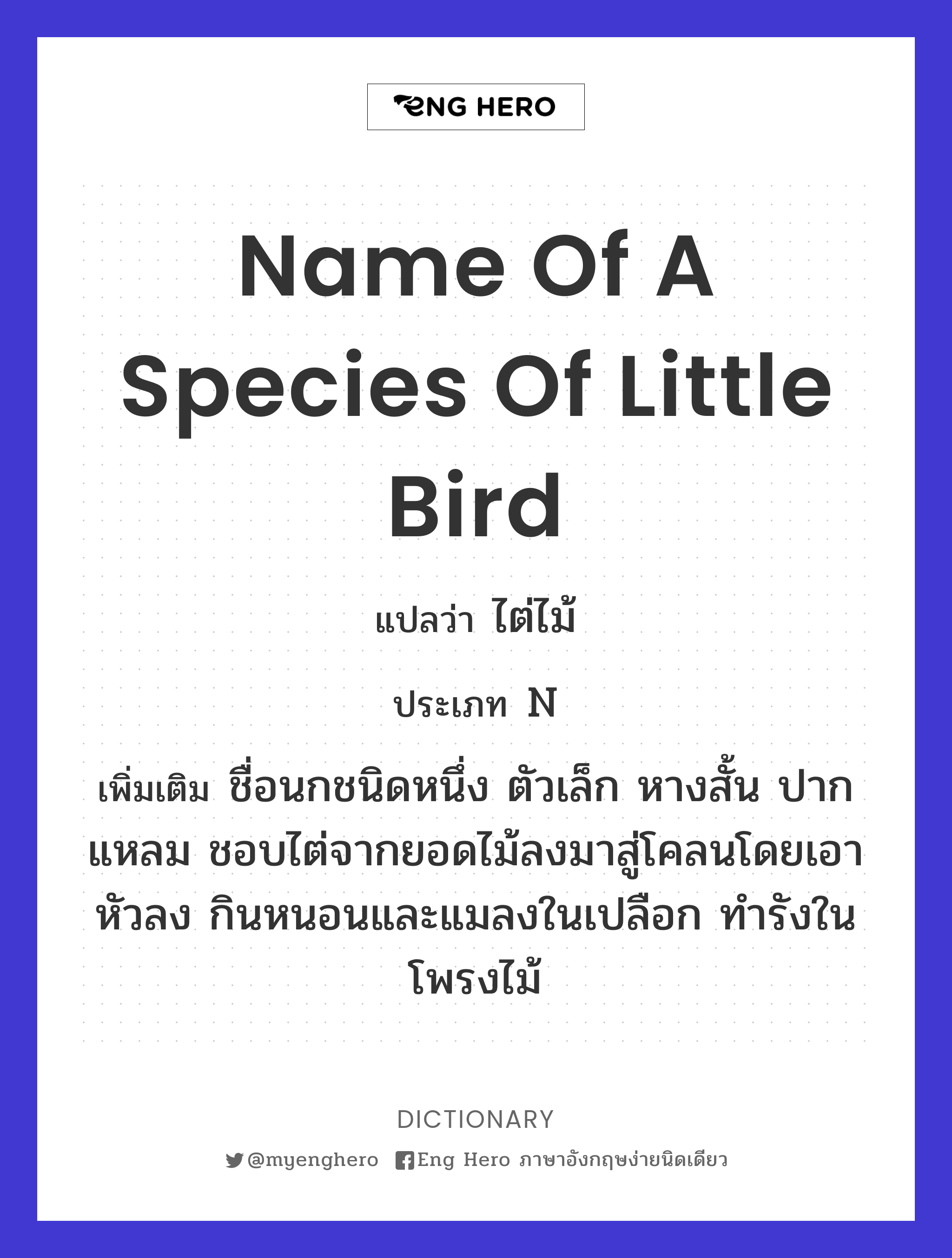 name of a species of little bird