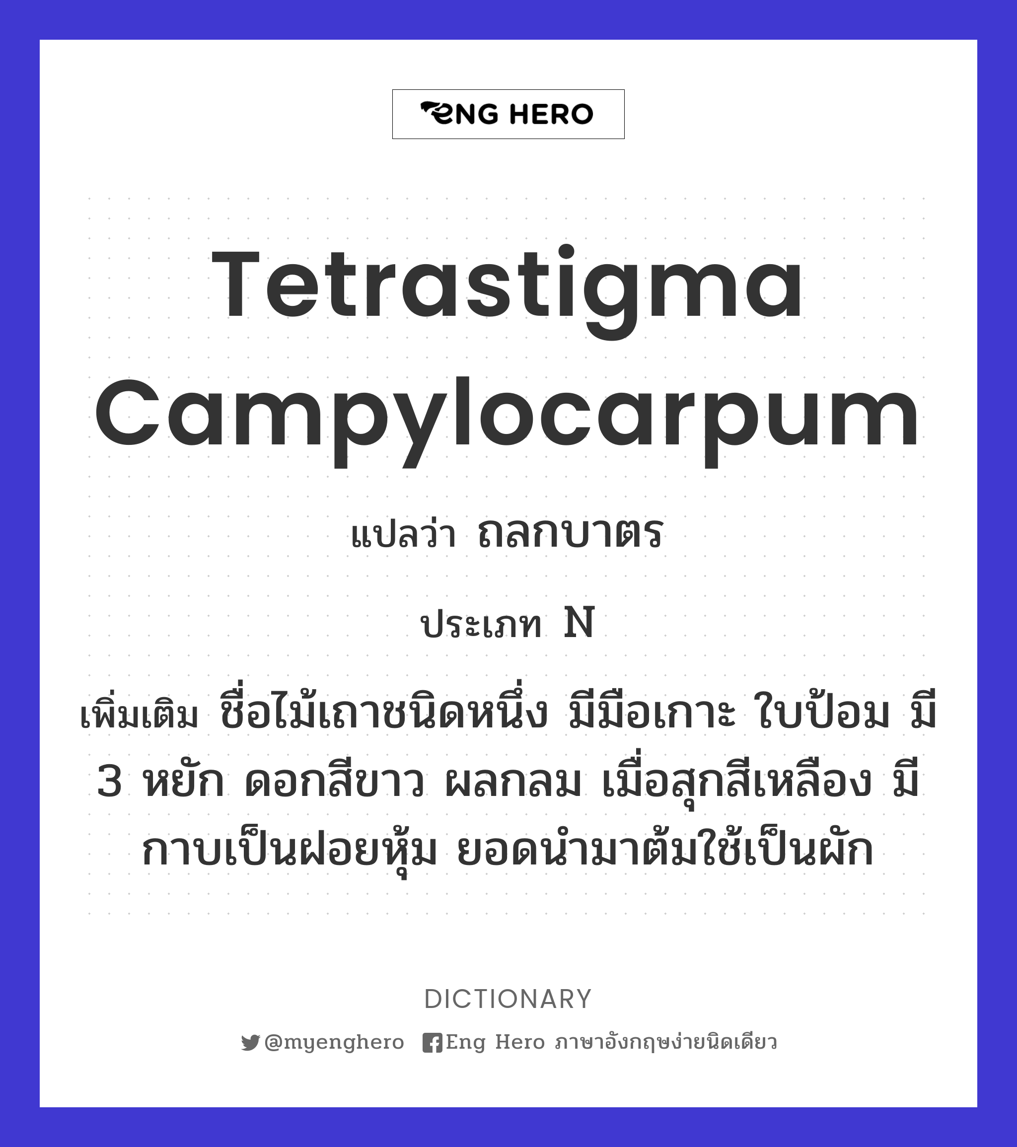 Tetrastigma campylocarpum