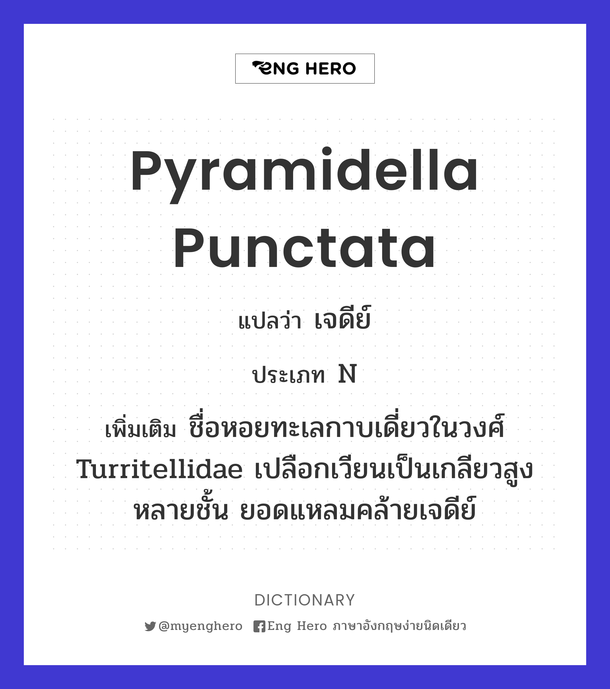 Pyramidella punctata